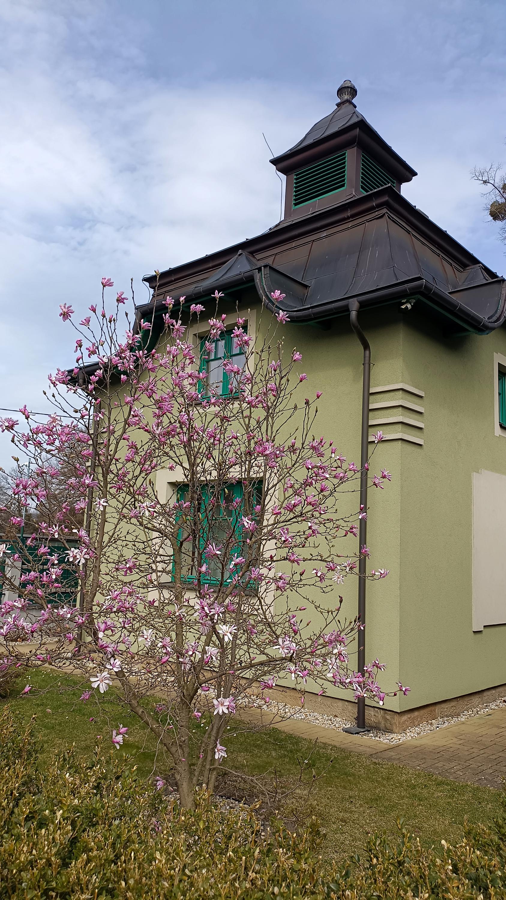 Vila Marticus foto 2