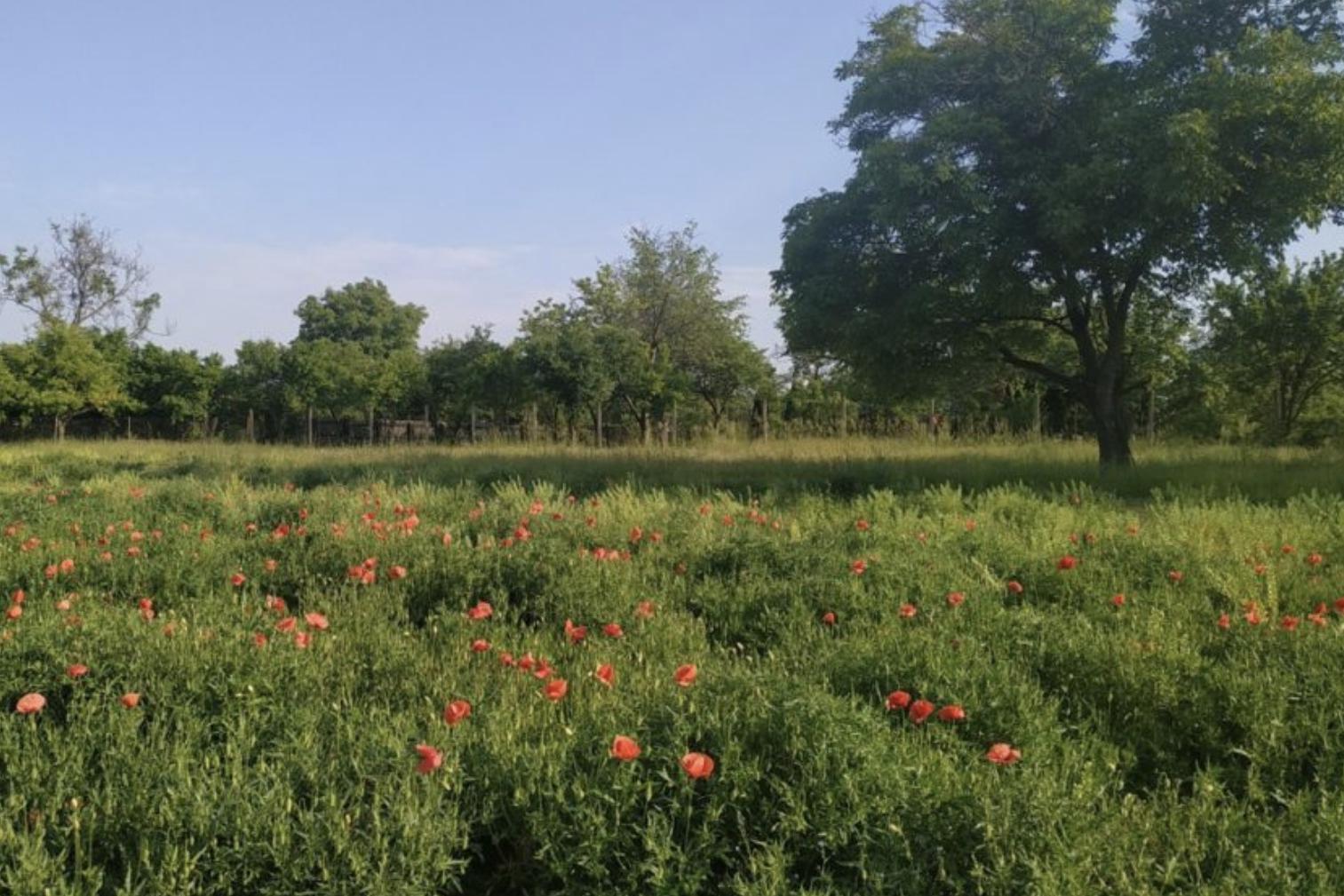 Získejte nezávazné posouzení svého pozemku