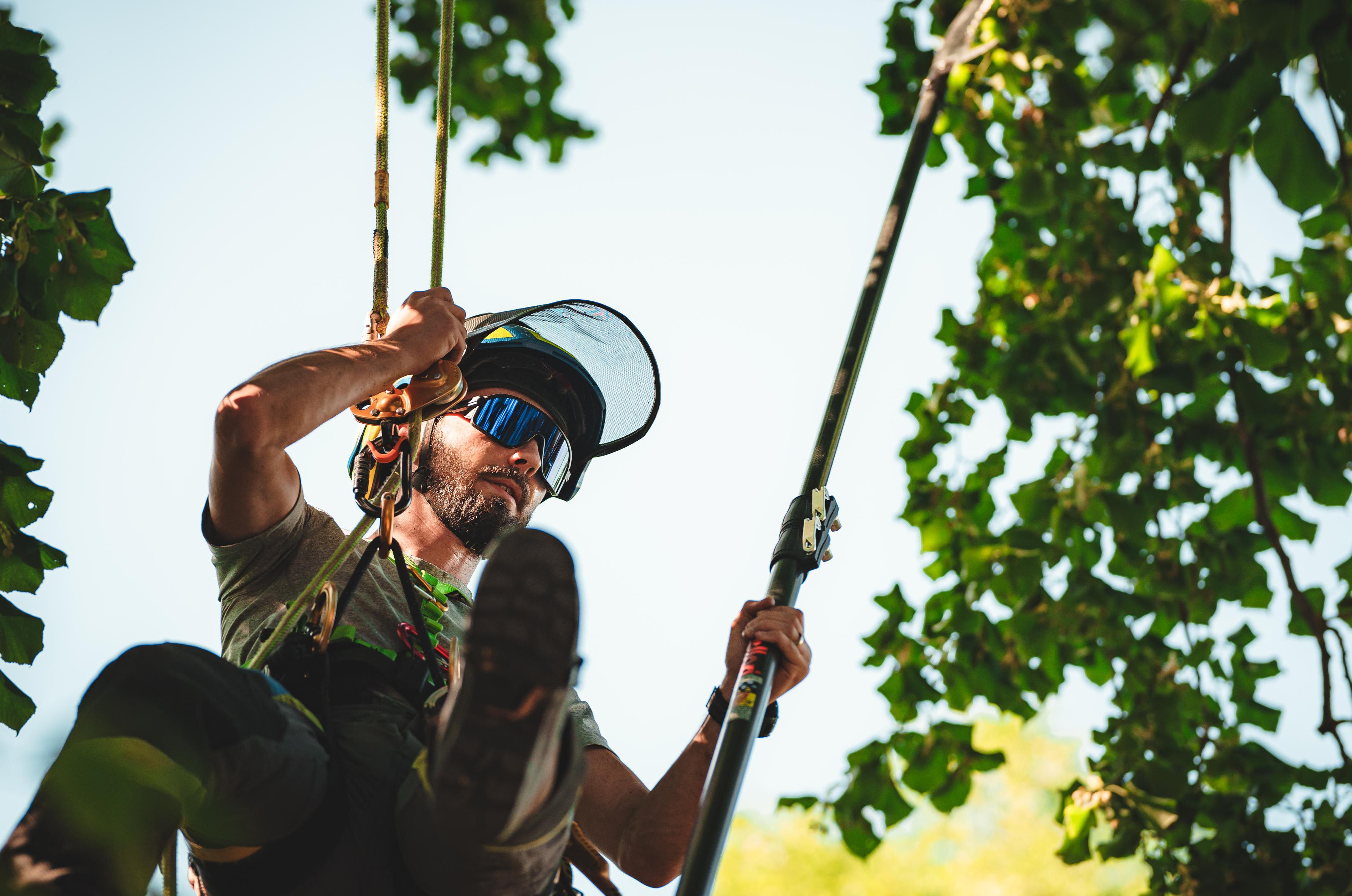 Rizikové kácení Richard Koudelka foto 1
