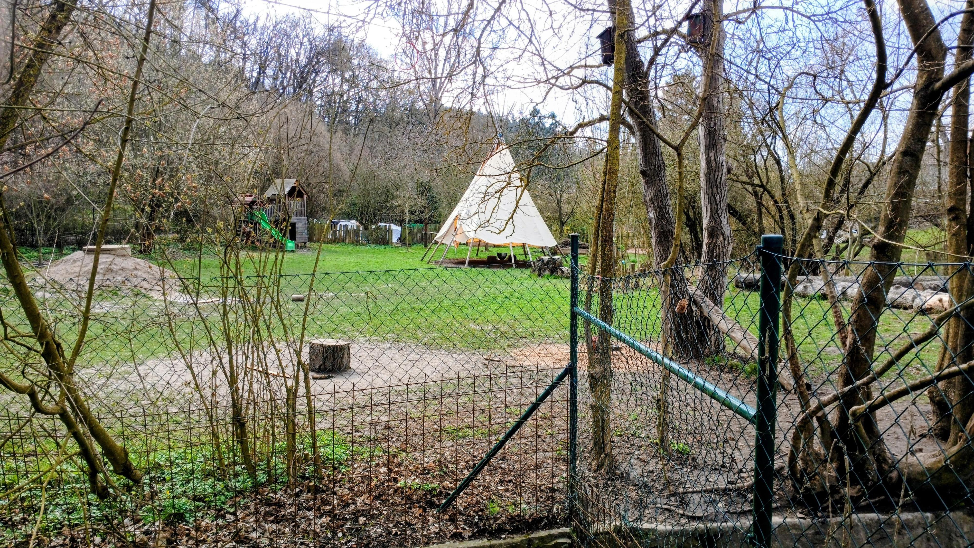 Lesní MŠ Sýkorka - Frank Bold Kids foto 1
