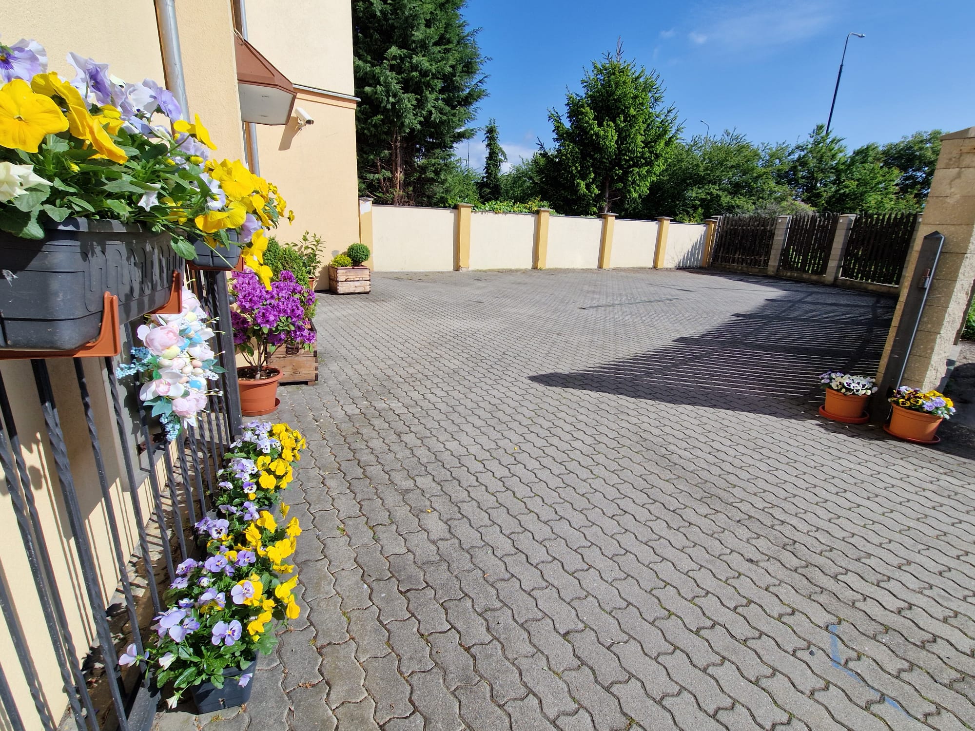 Penzion U losa foto 6