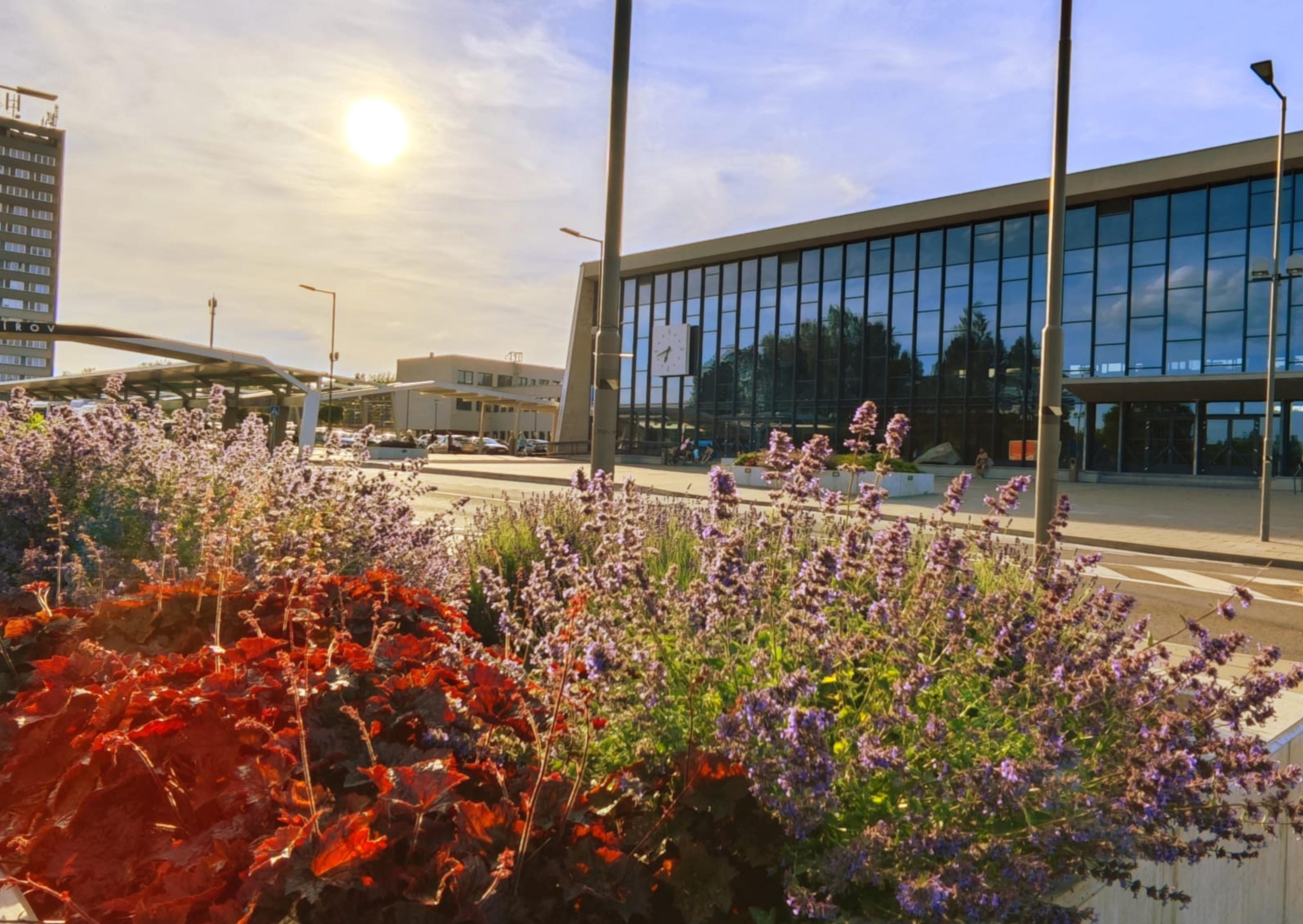 Bowling Sportovní hala FÉNIX foto 3