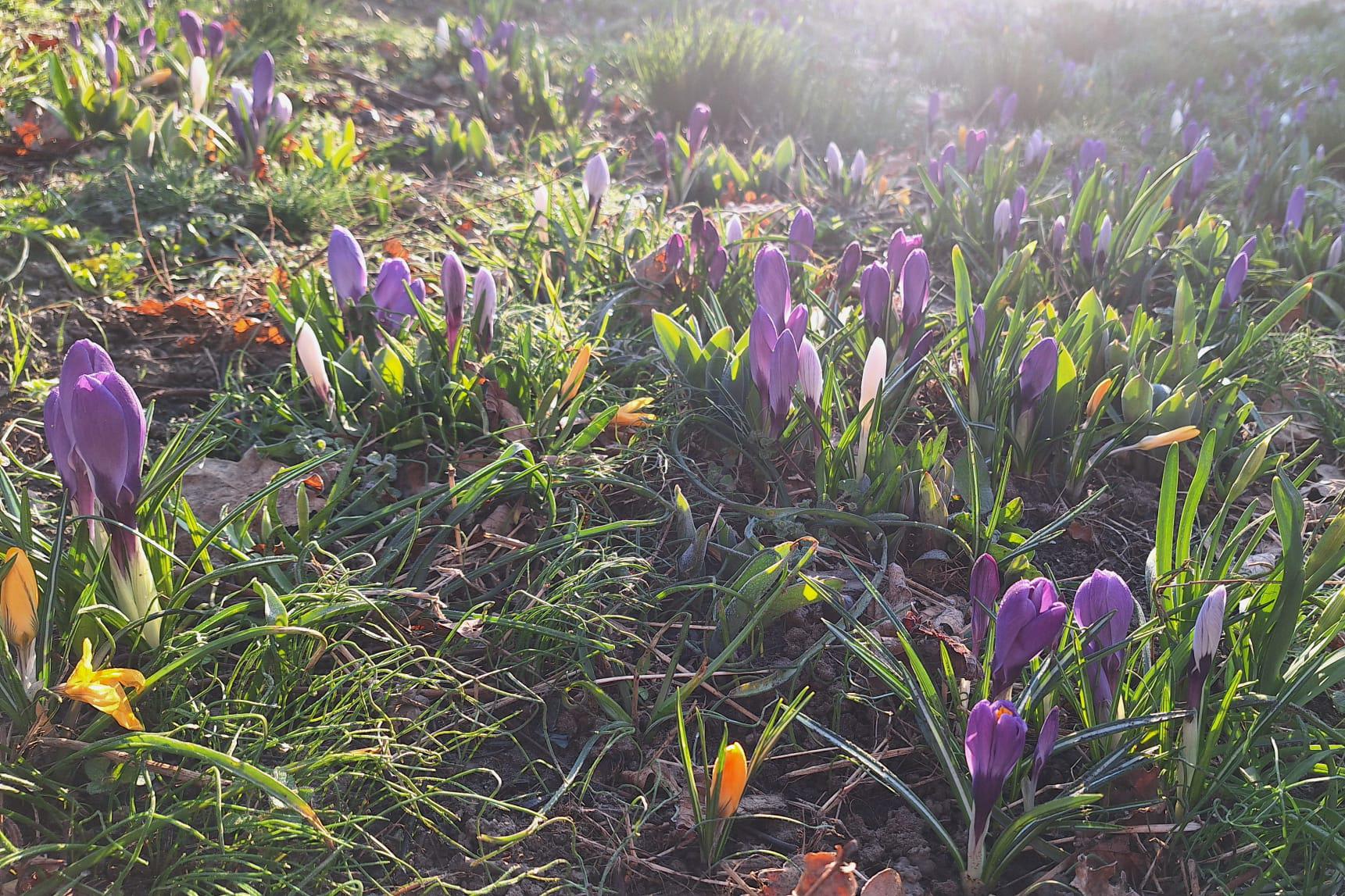 •	Být vyslyšeni někým, kdo skutečně naslouchá