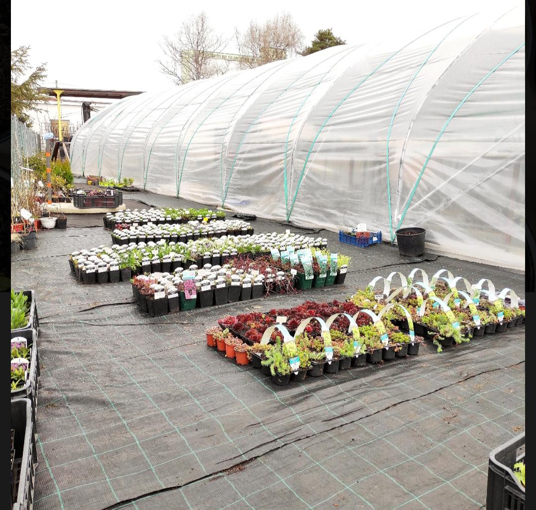 Krčmář služby s.r.o. - zahradnictví foto 5