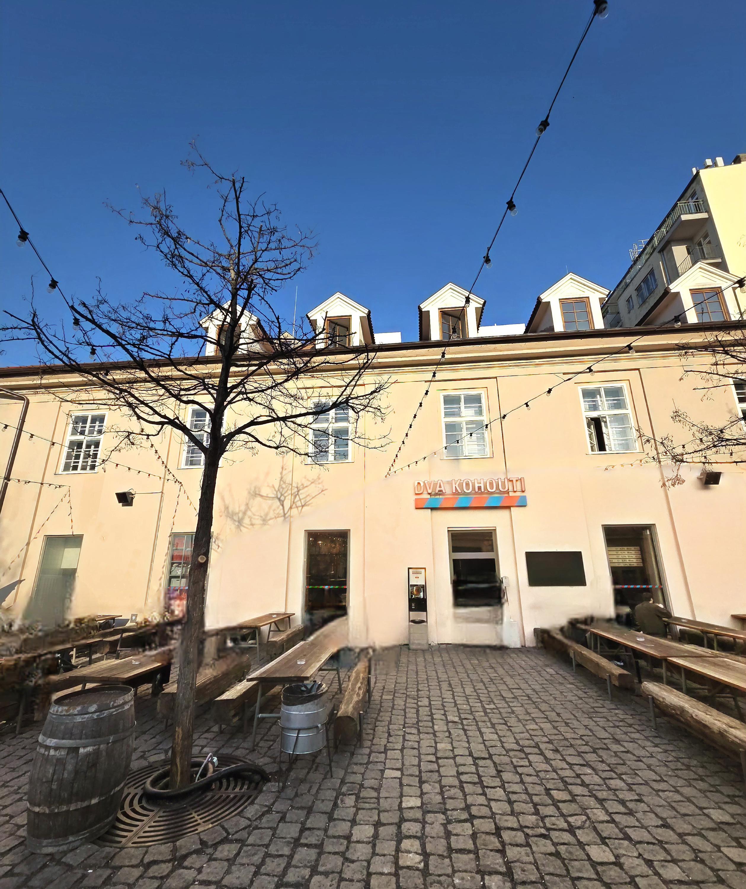 Dva kohouti foto 3