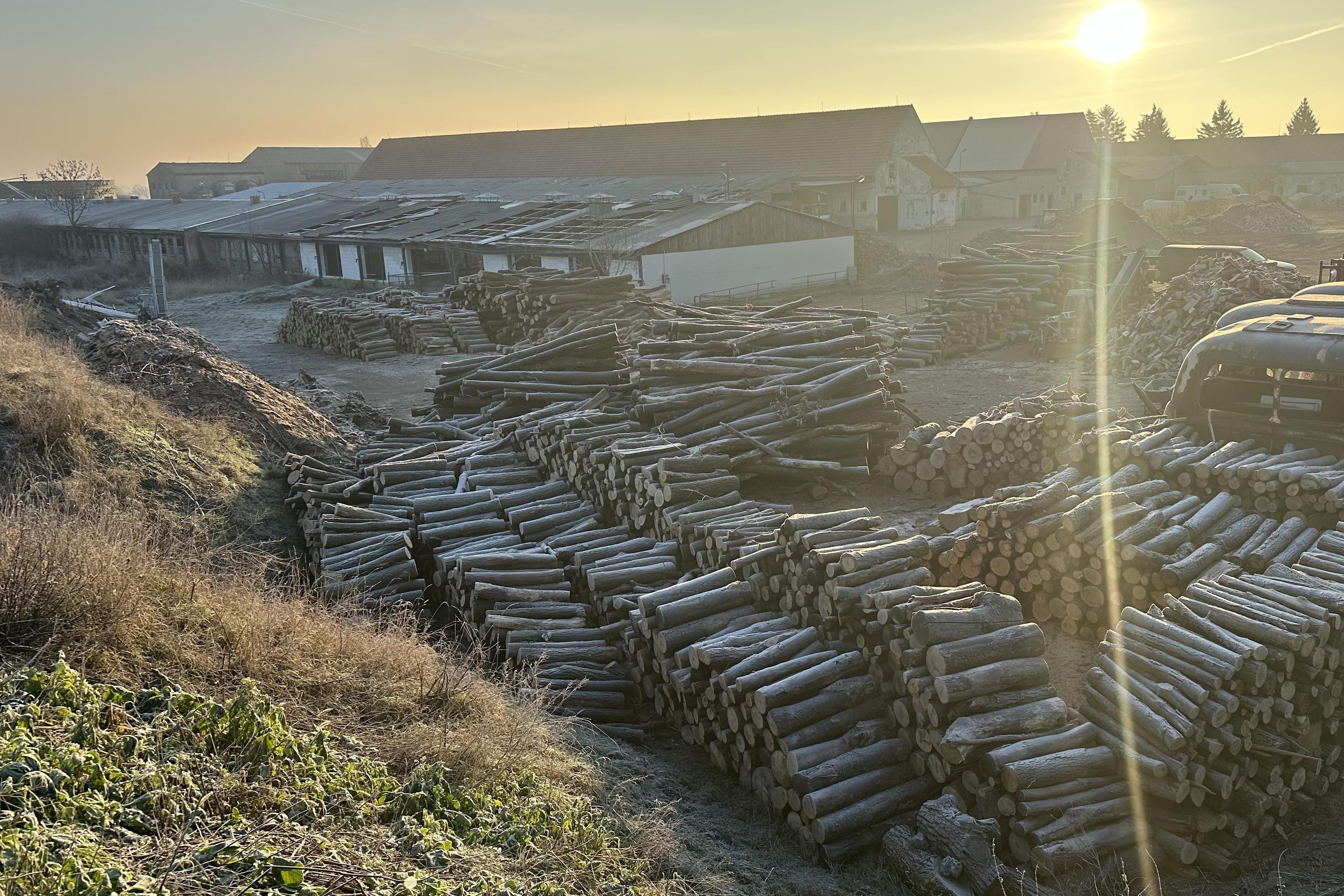 Poděbradská lesní