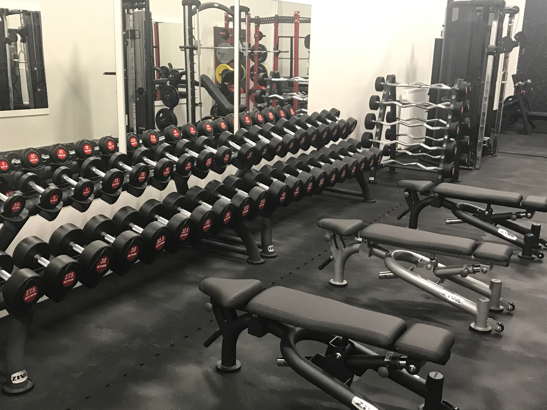 Bastard´s Gym foto 3