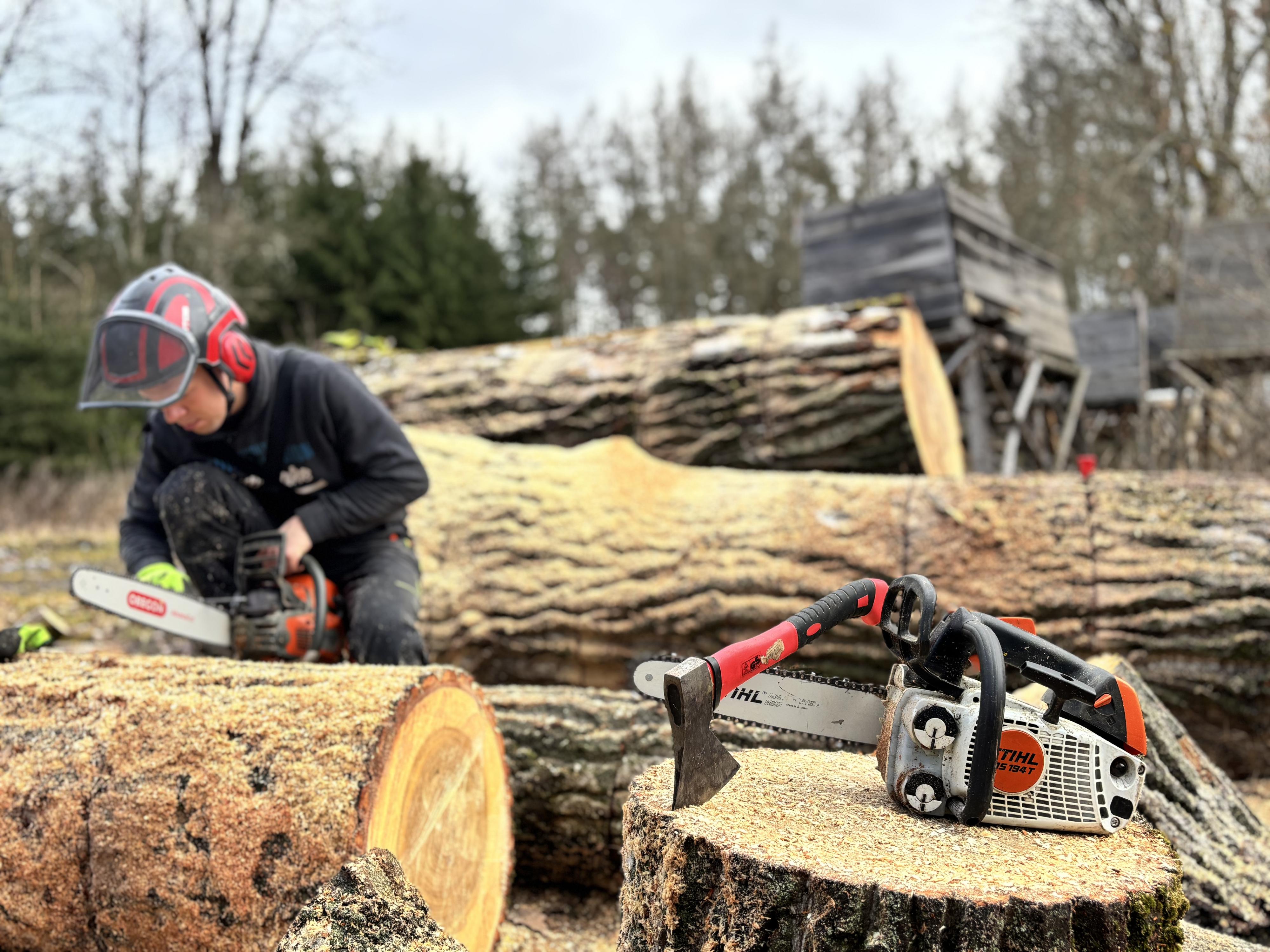 Arboristika -  Ing. Petr Pšeničný foto 3