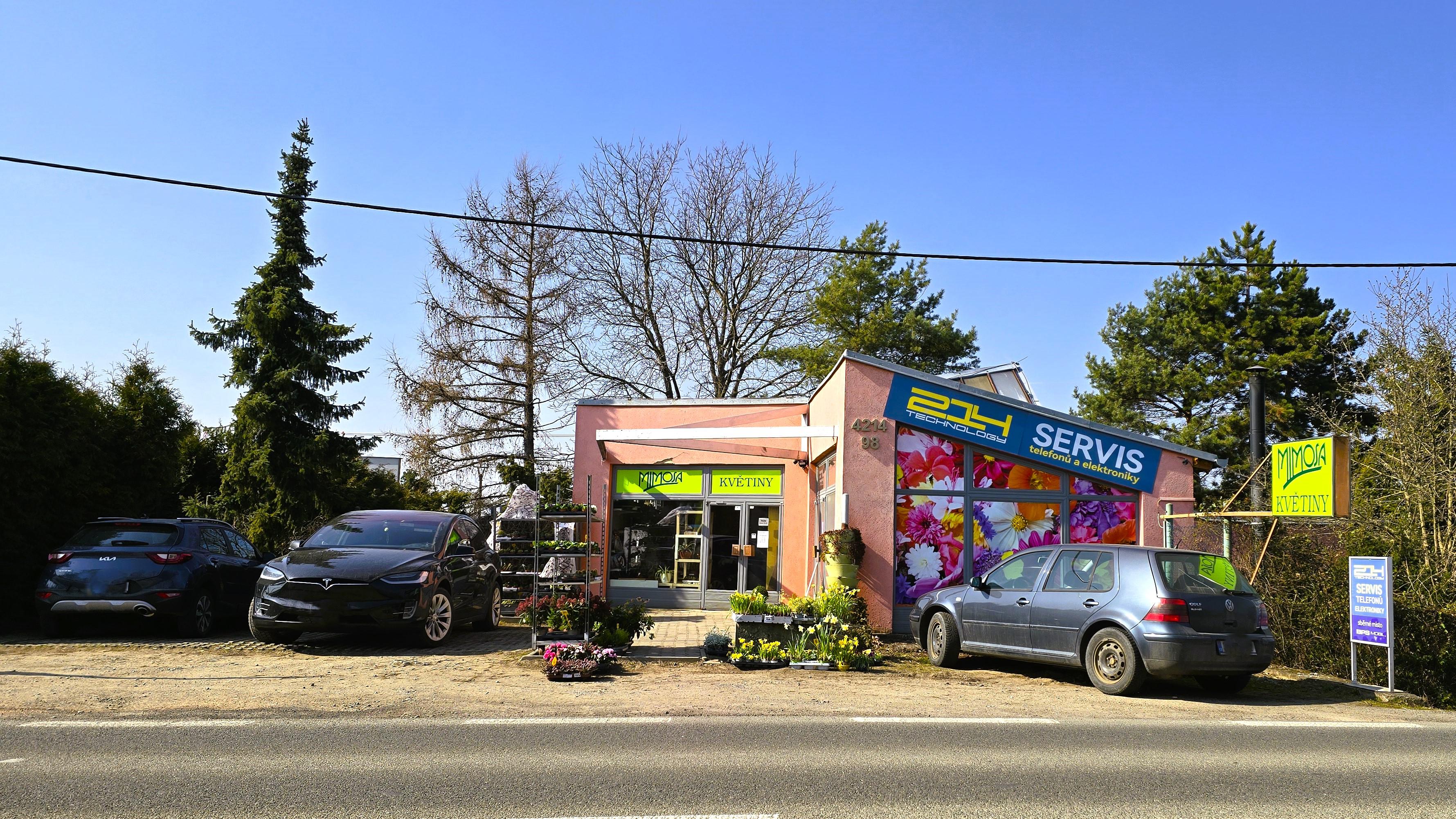 Mimosa květiny s. r. o. foto 4