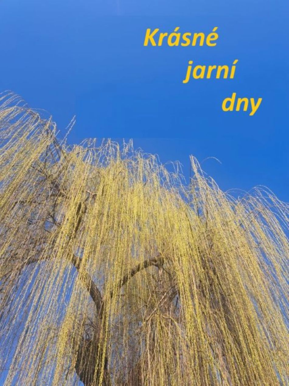 Hodinový manžel - Praha 4 - Petr Mikoláš foto 6