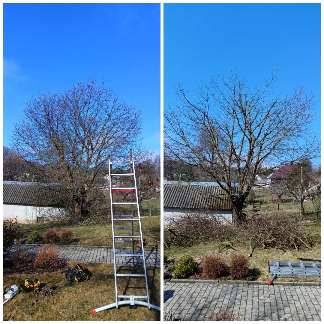 Andrej Solomin - Řez - tvarování - kácení foto 2