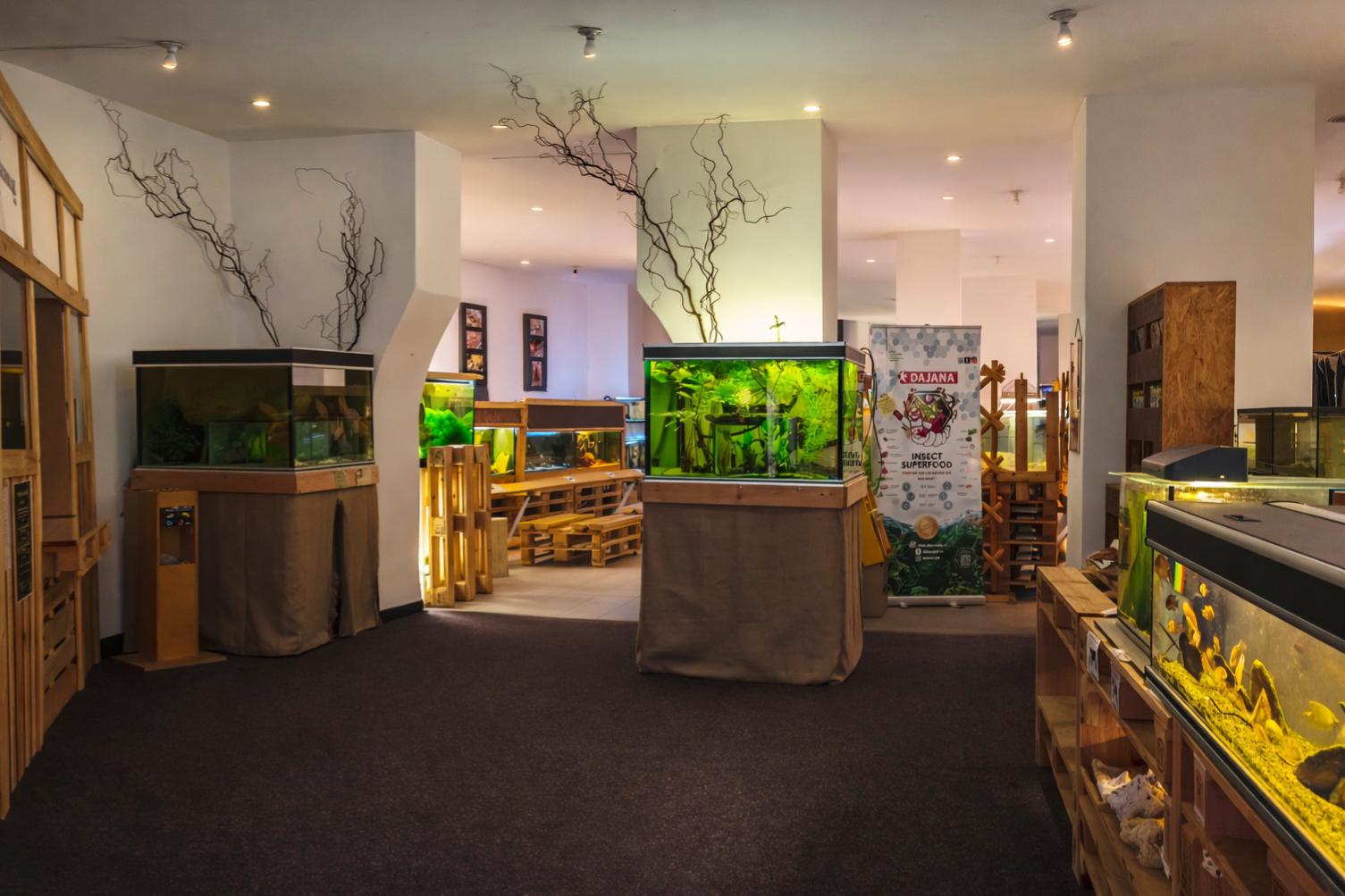 Veřejné akvárium v České Lípě