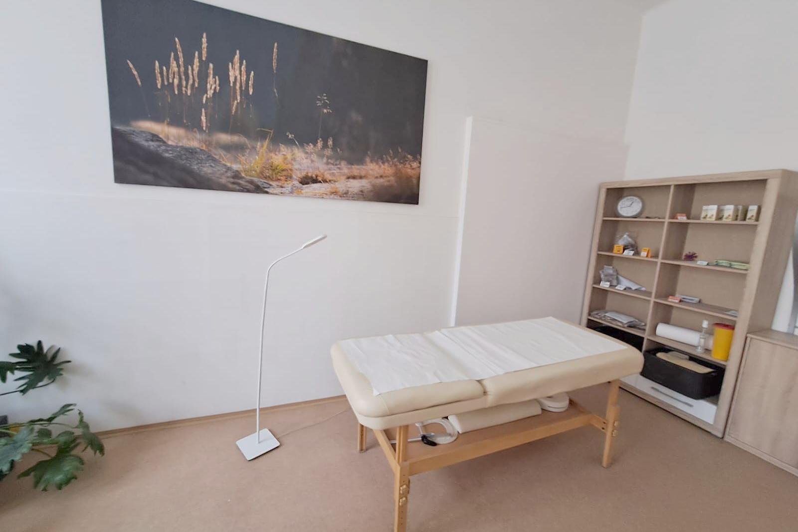 MUDr. Zuzana Kopytková - Tradiční čínská medicína