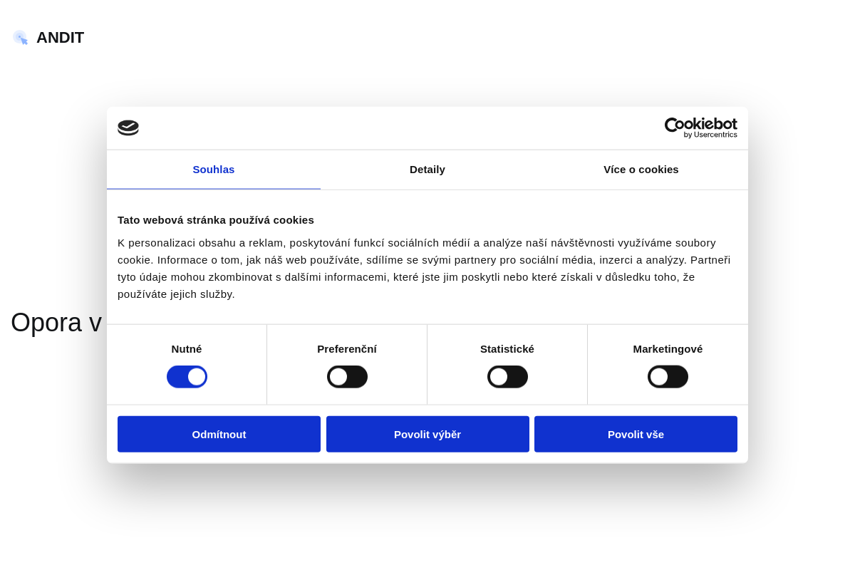 andit | opora v podnikovém IT