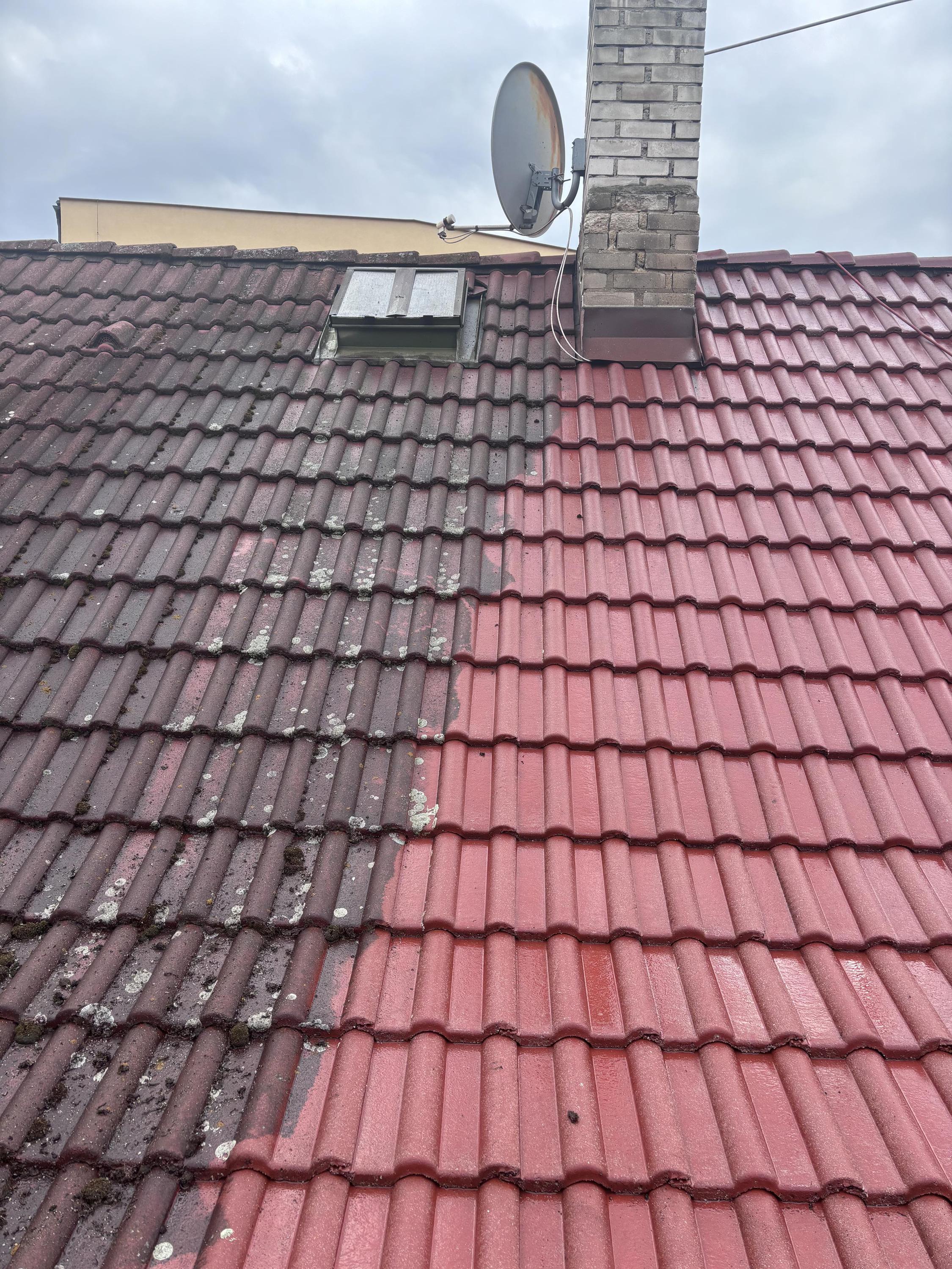 TM CLEANING foto 3