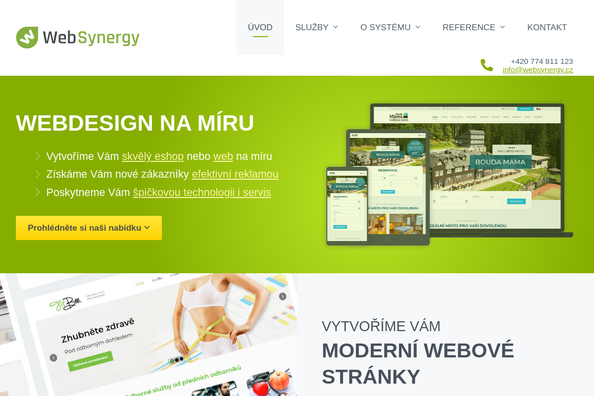 WebSynergy