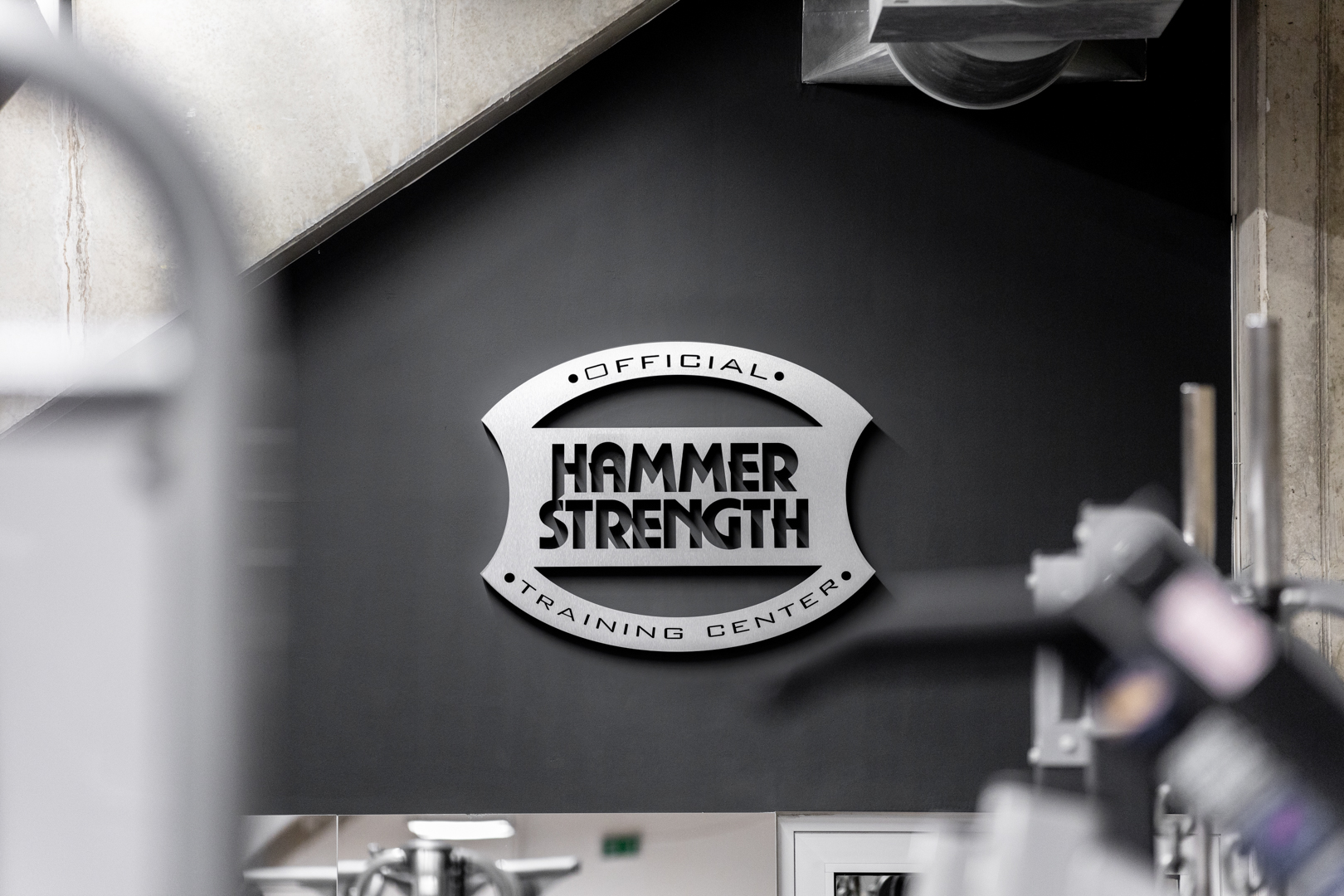 Hammer Strength Fitness SPARTA foto 5