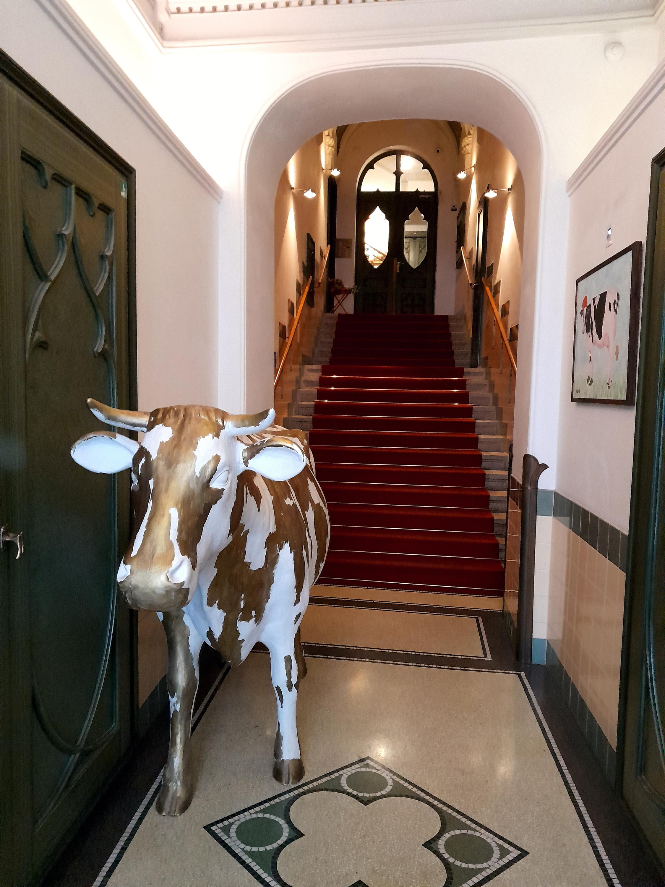 MOOo Downtown Apartments foto 5