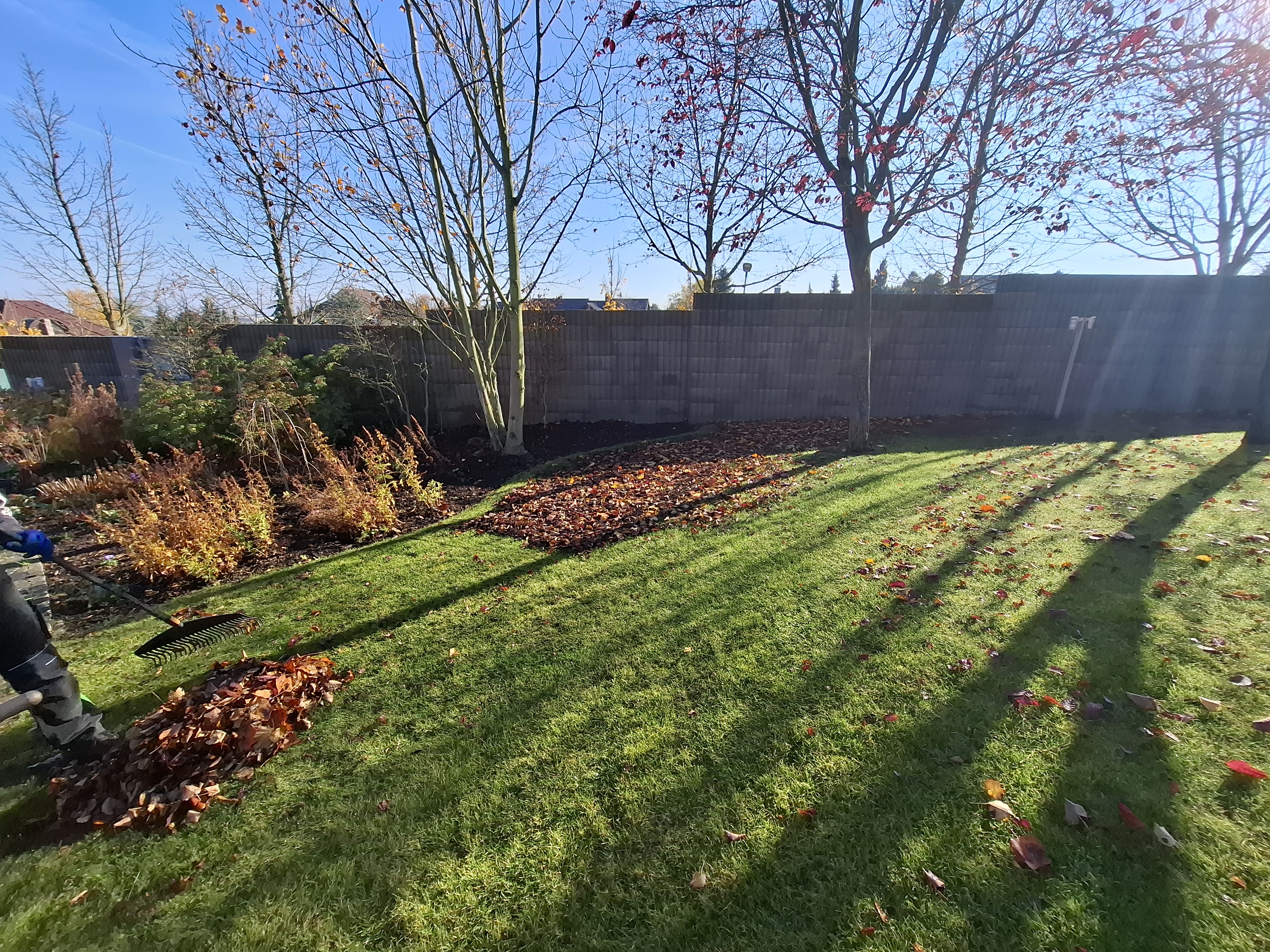 Zahradnické a Zemní práce Lukáš Sieja foto 2