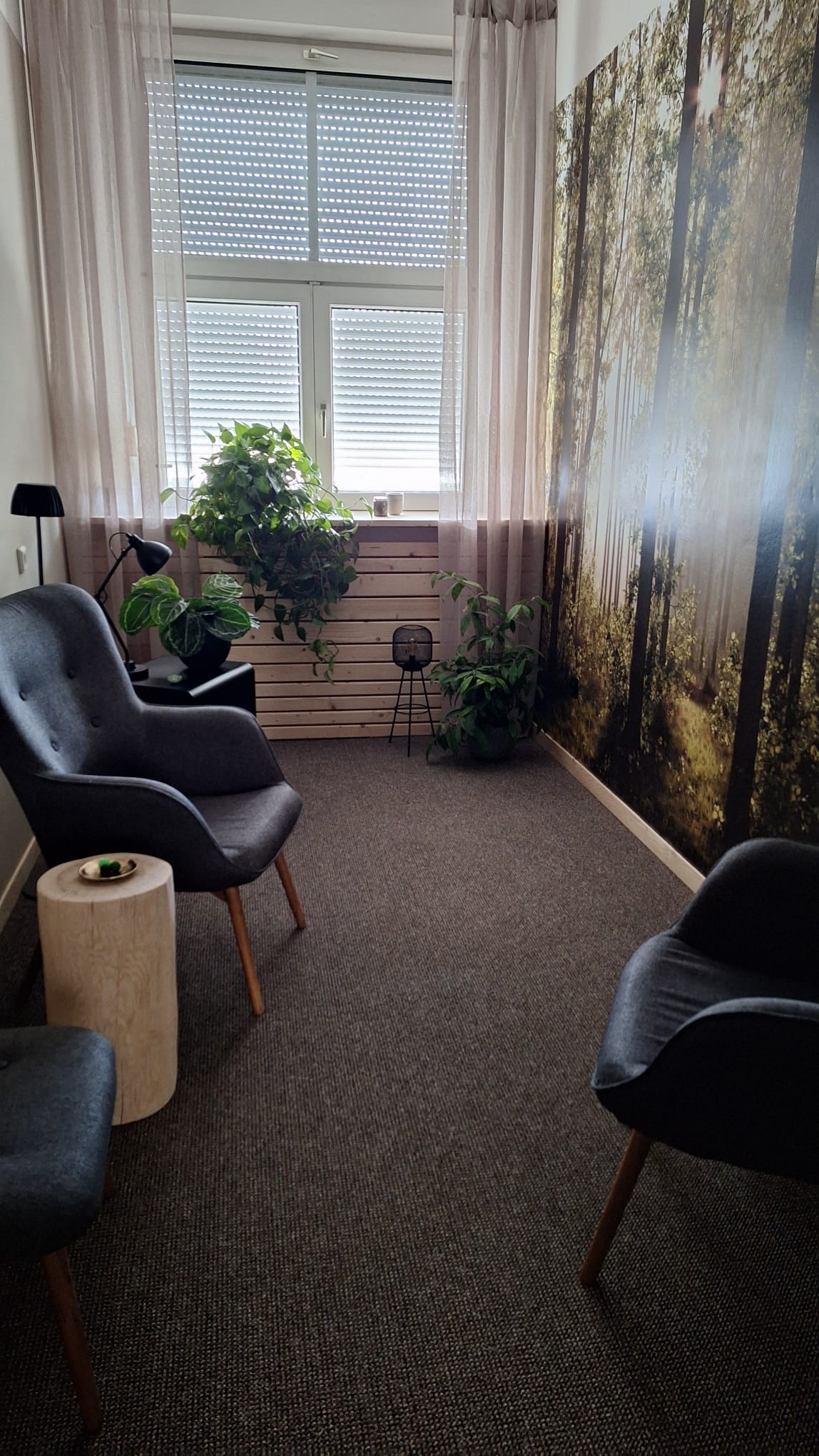 Objevte cestu k sobě samému – Reno Anima