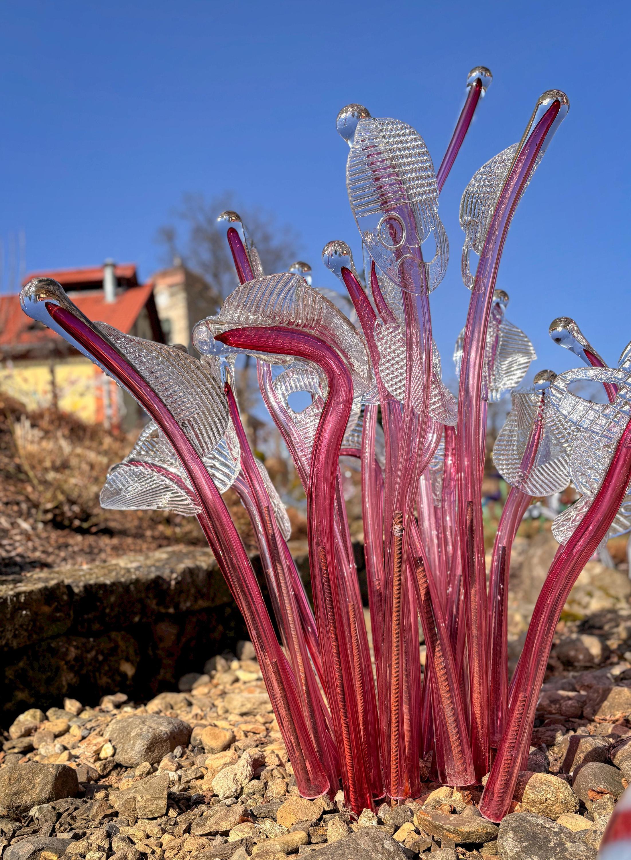 Pačinek Glass foto 4