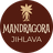 logo Mandragora