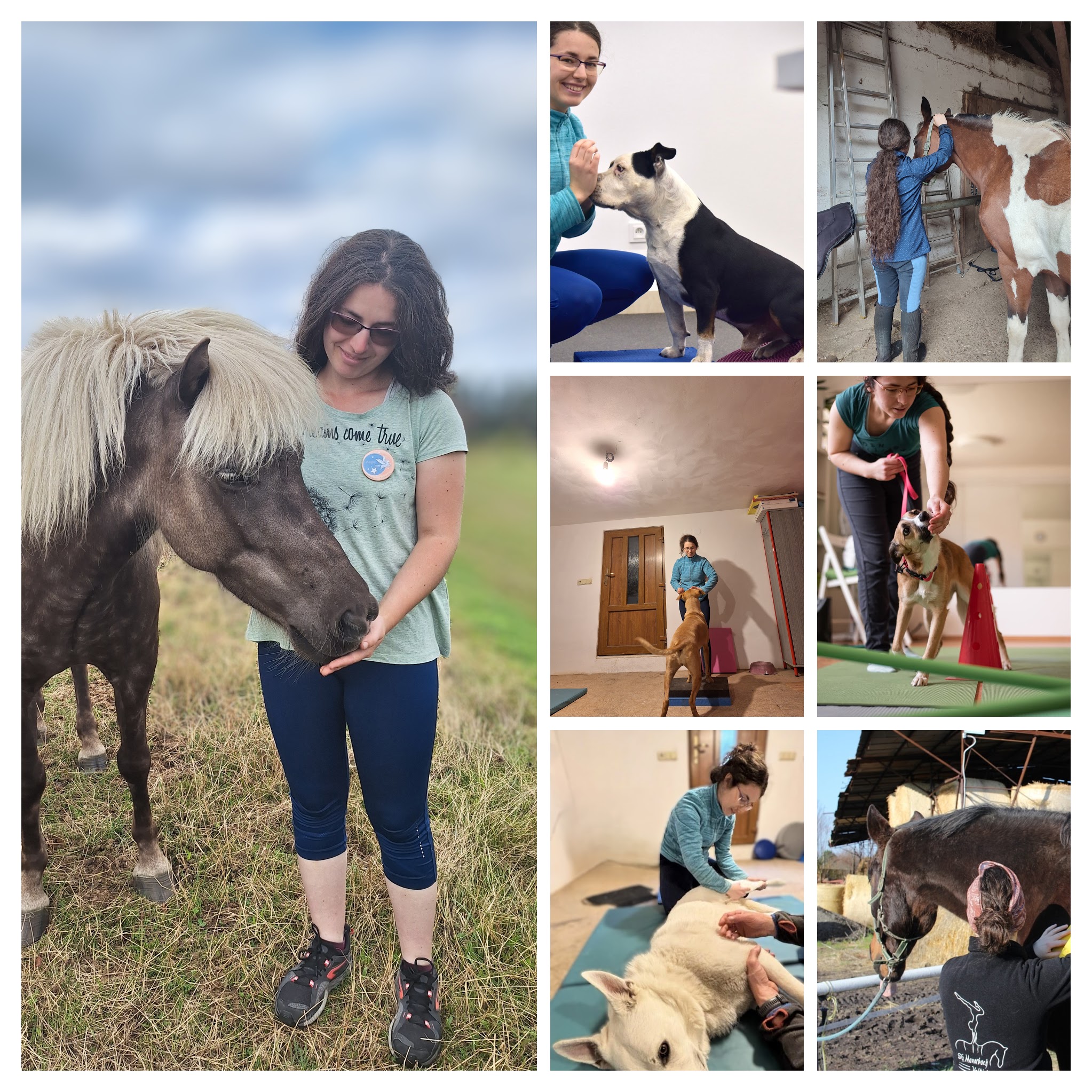 Touch for Animals - Sára Němečková, DiS. foto 3