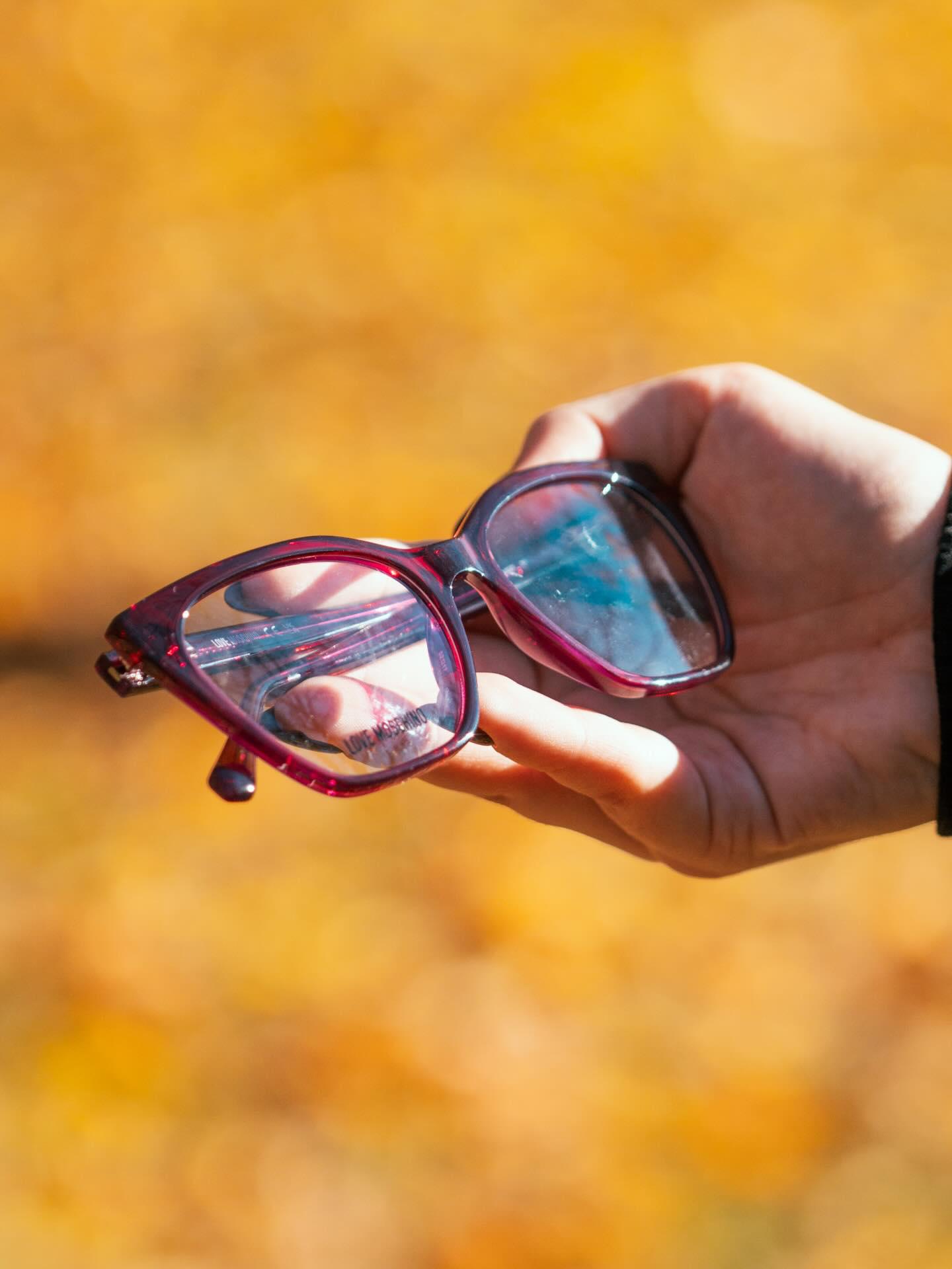 Vin Optic foto 3