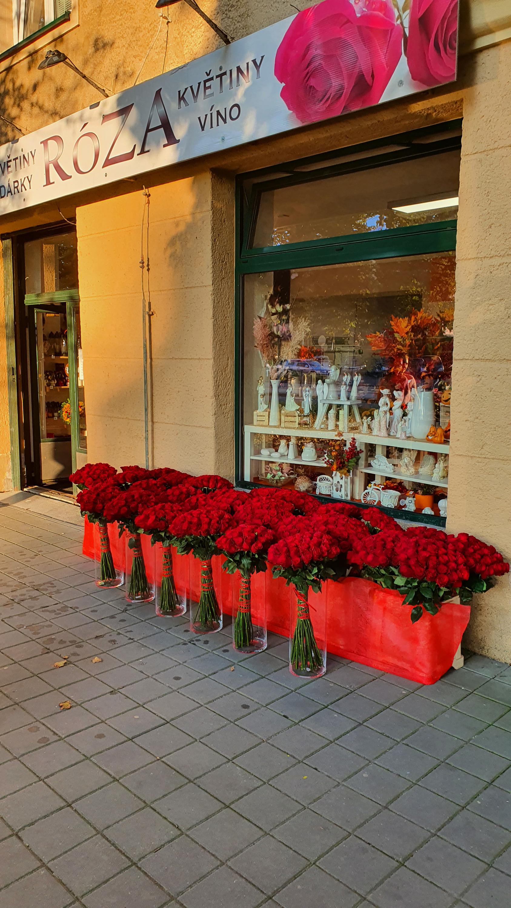 Květiny Róza foto 4