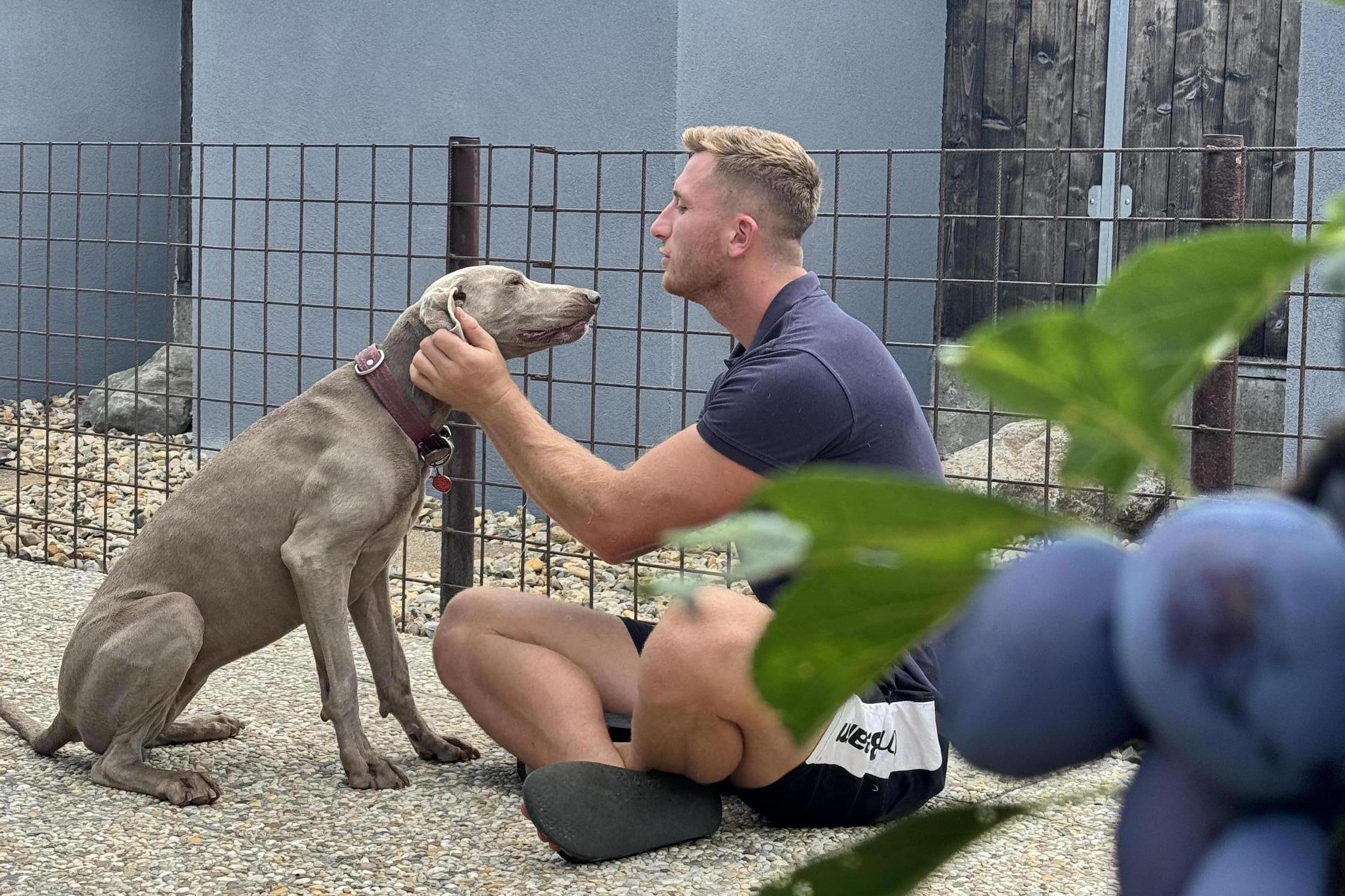 Psí hotel Jitka Sedláčková