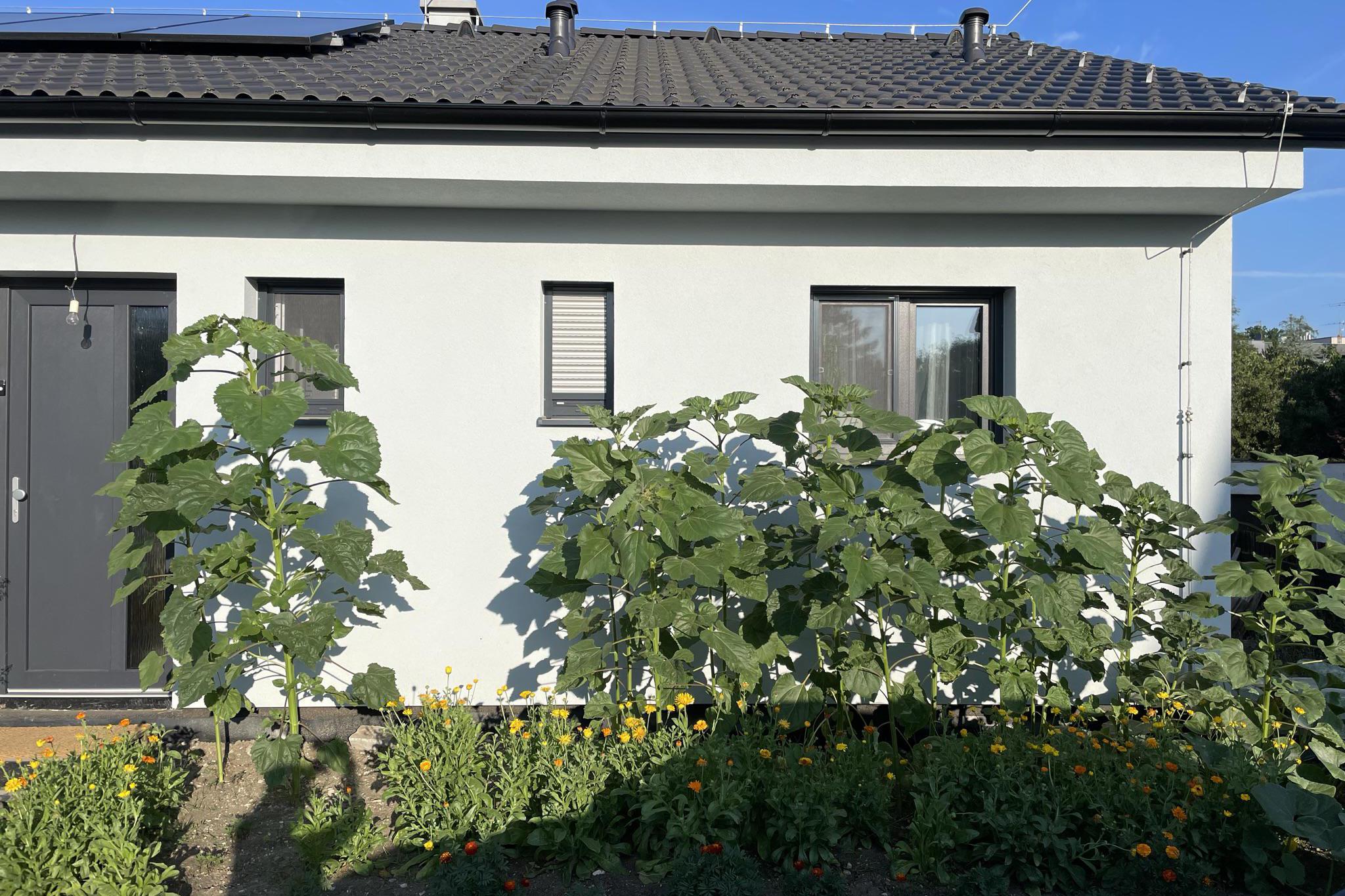 Zahradní architekt Bc. Ivana Žitníková