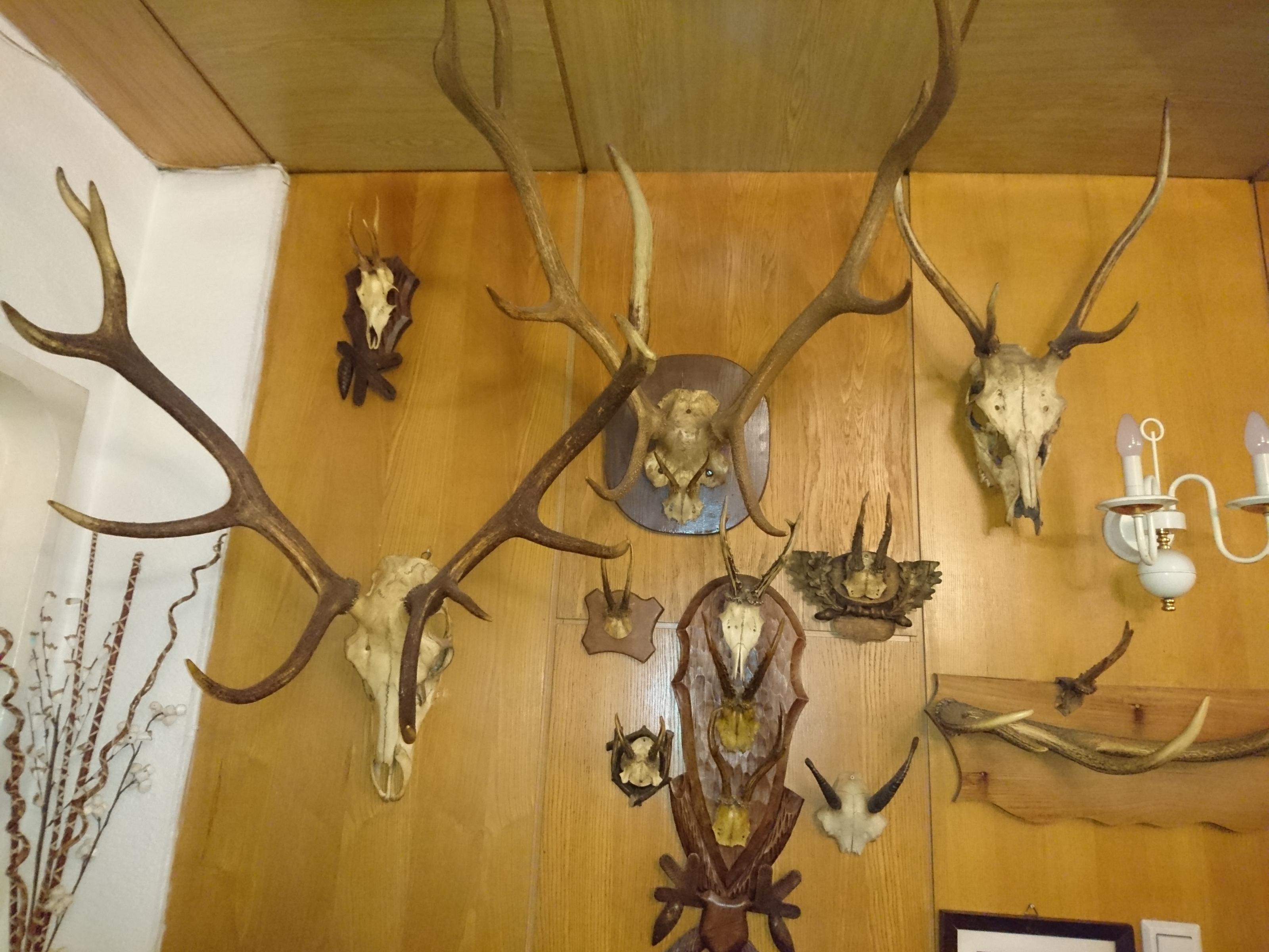 Formánka u staré čarodějnice foto 6