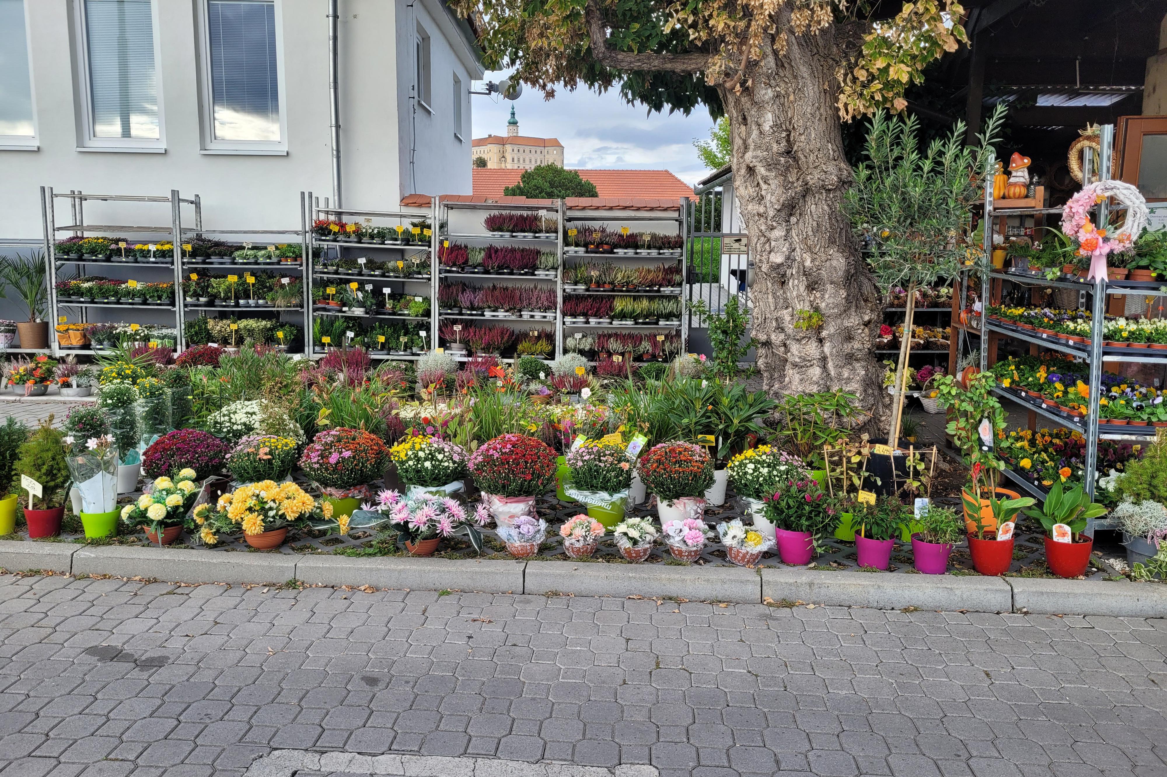 Květinářství U Rosničky