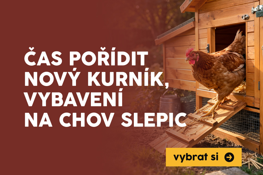 Vybavte se na chov slepic