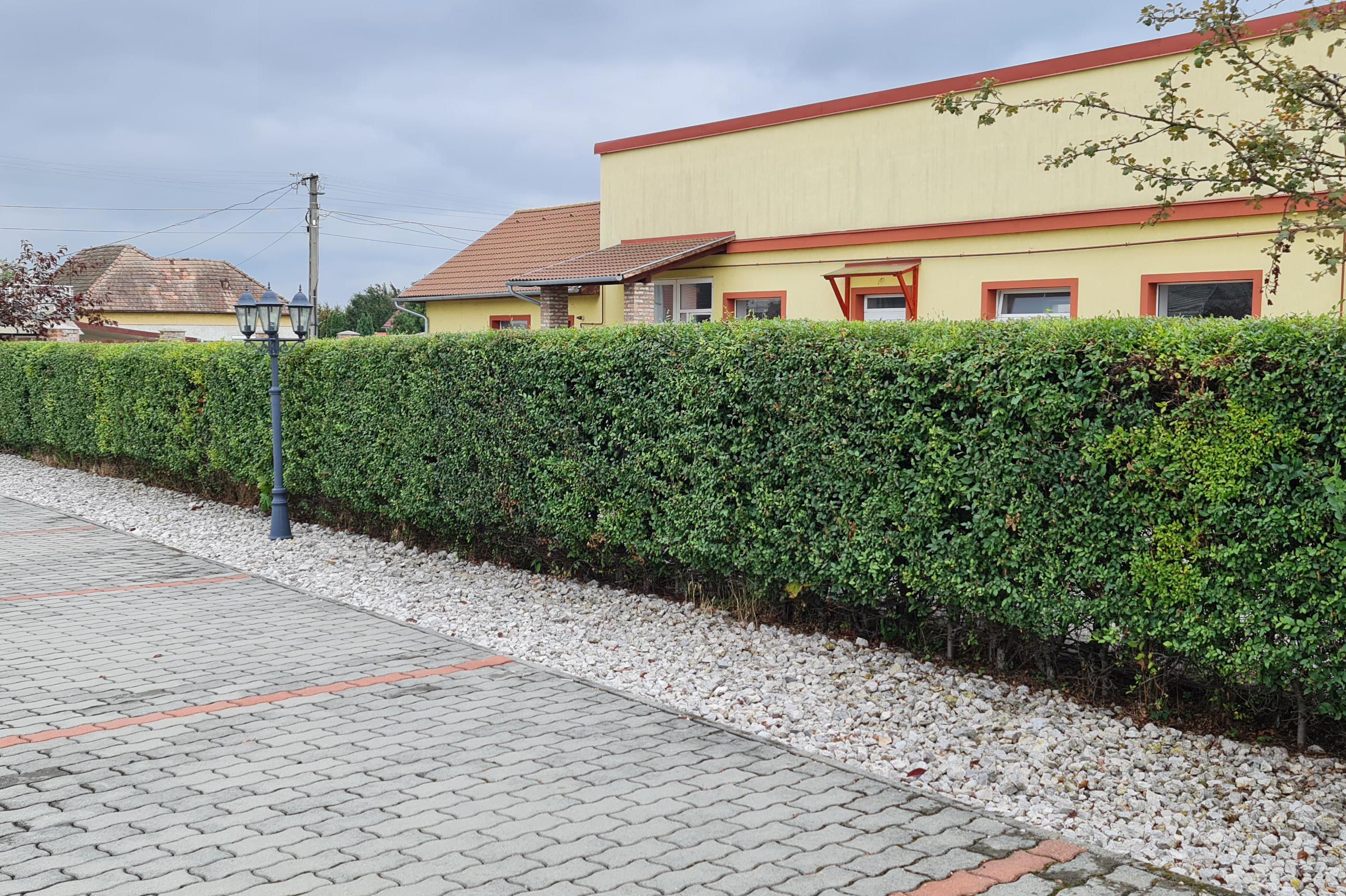 WonderHedge - ziveploty24.cz