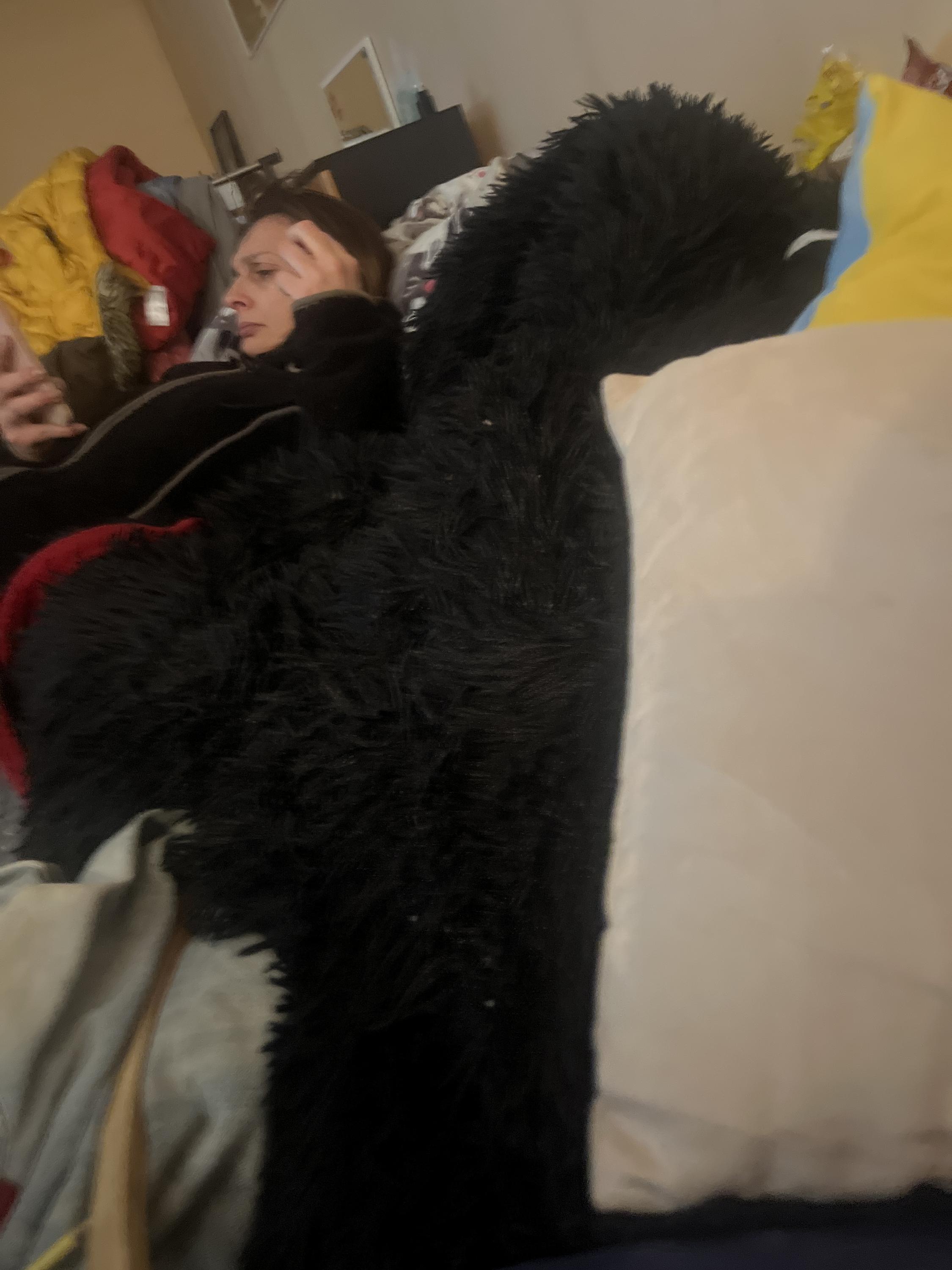 Jak na Pinterest - Michaela Žáčková foto 3