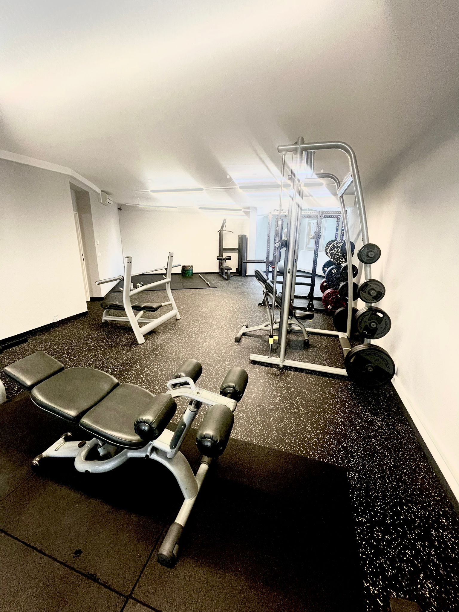 Gym Rat Family foto 5