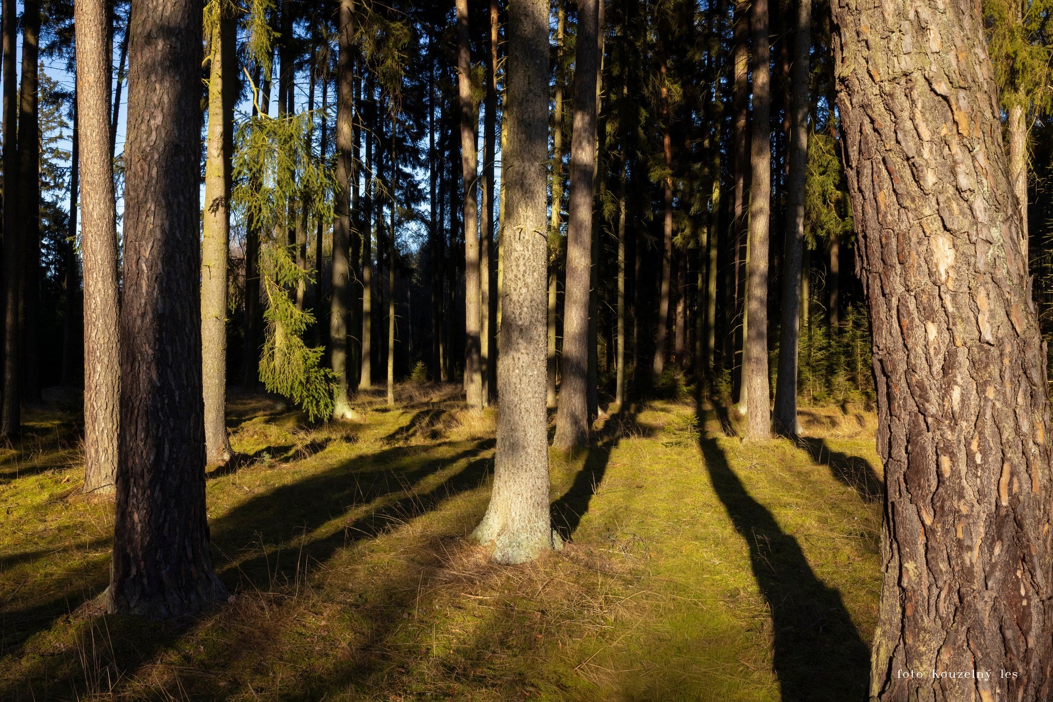 Individuální konzultace – váš příběh, vaše řešení