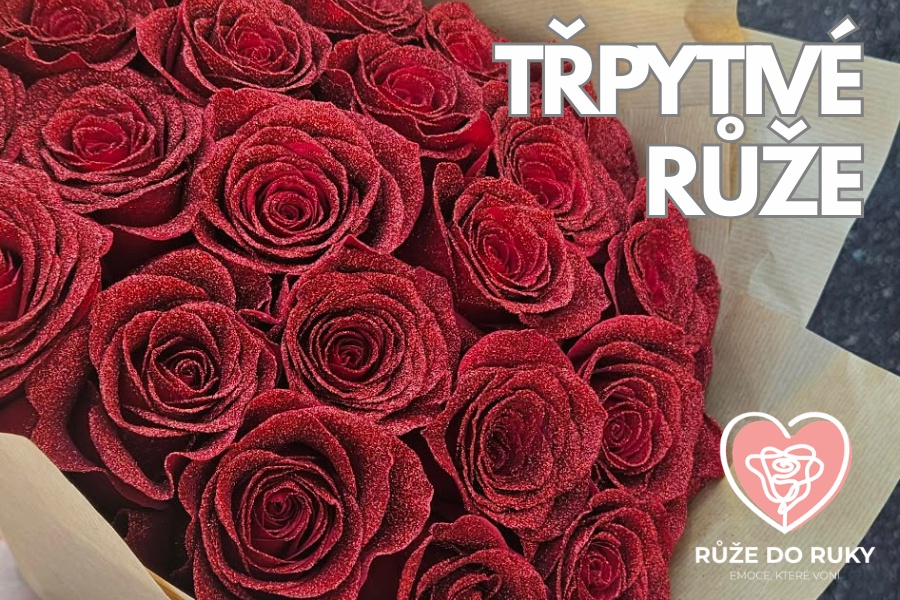 TŘPYTIVÉ RŮŽE