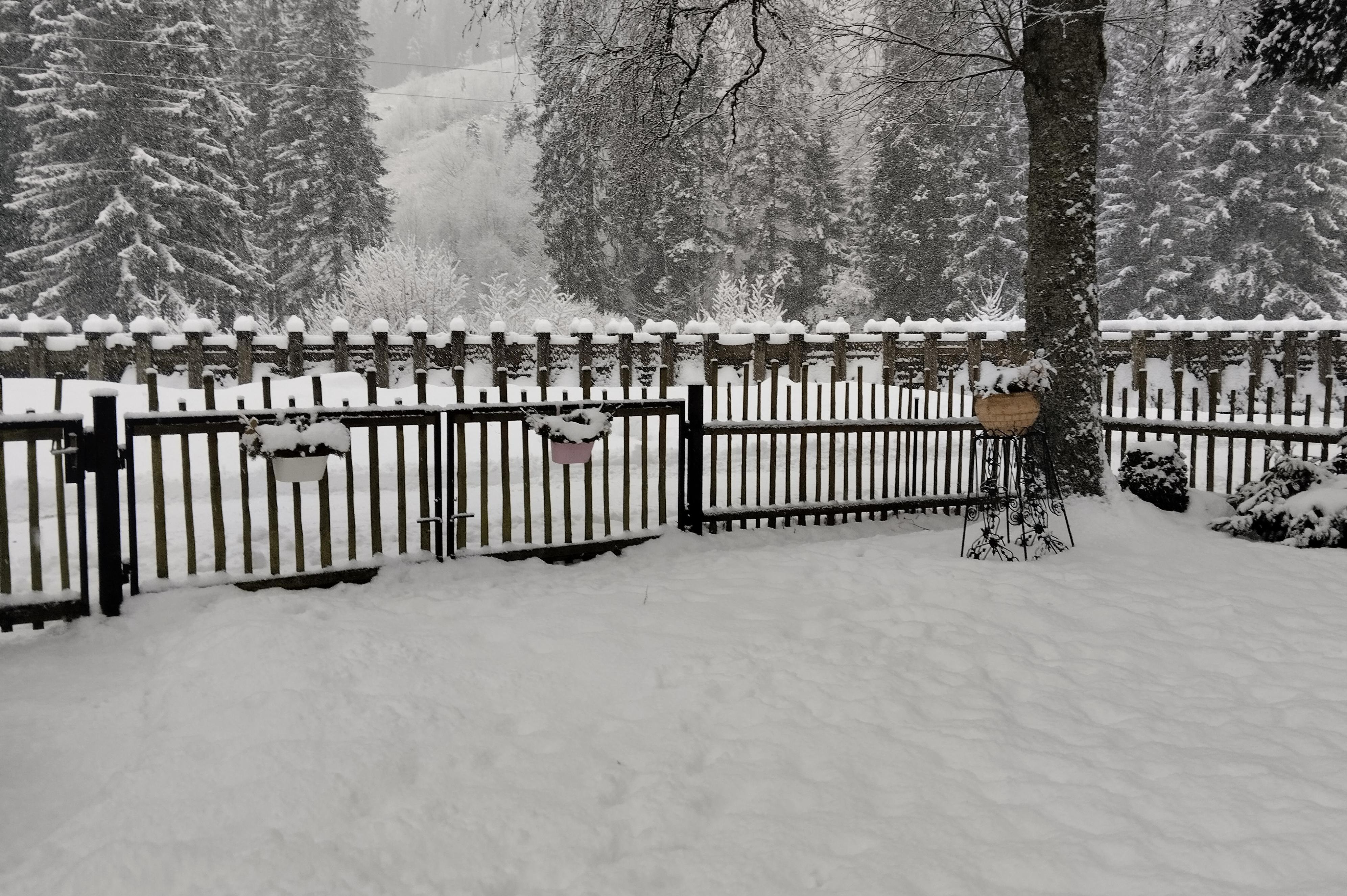 Apartmány U Smetanova smrku