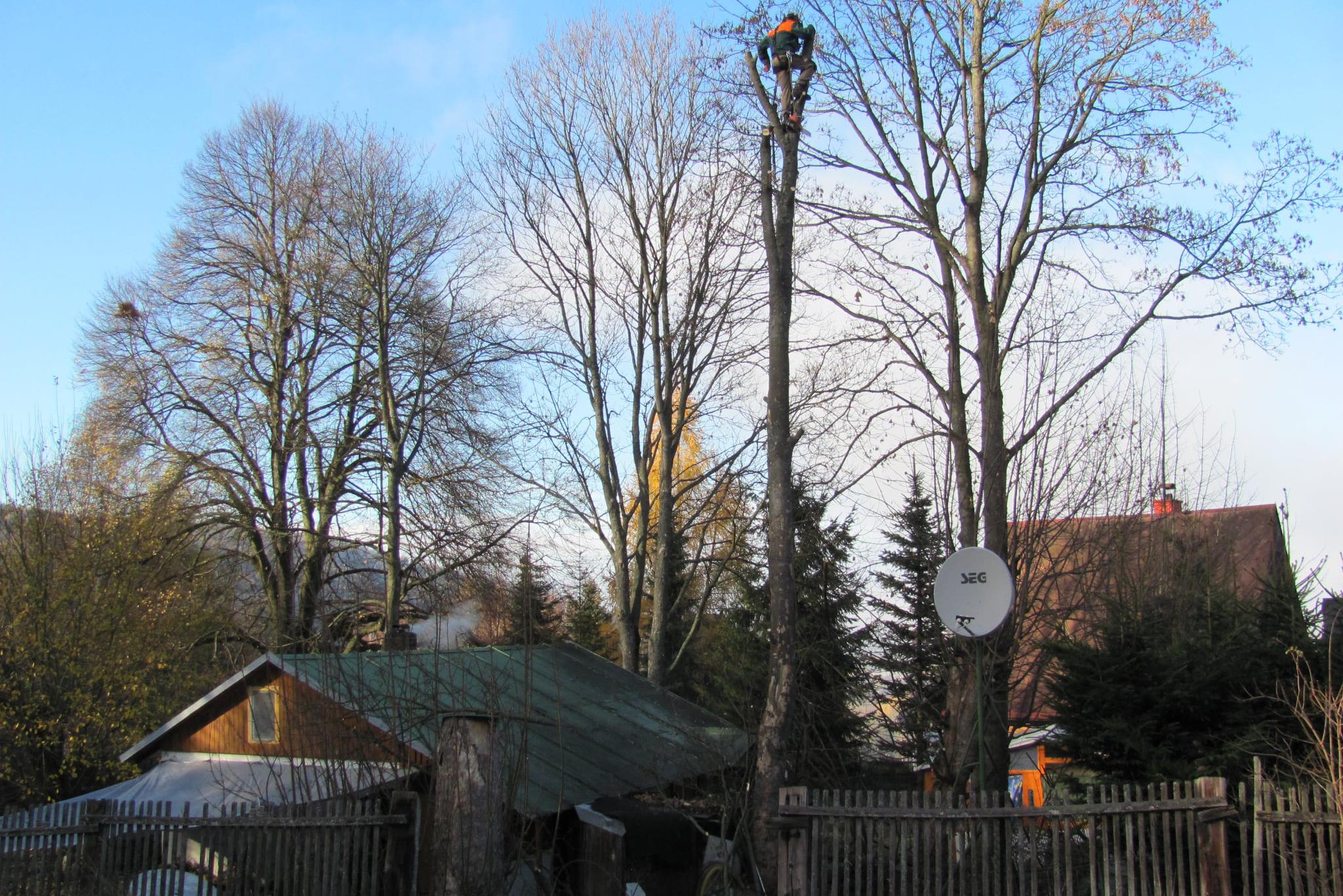 Rizikové kácení Krenc