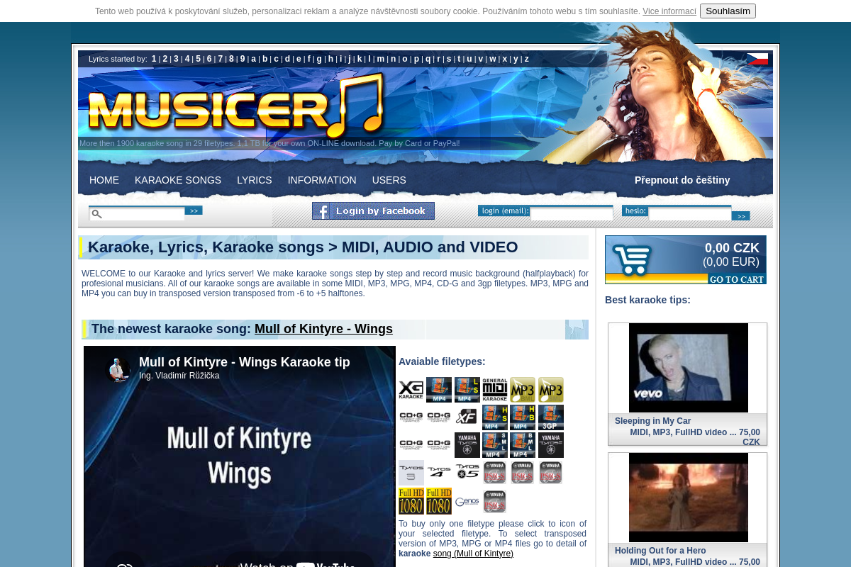 Musicer.net