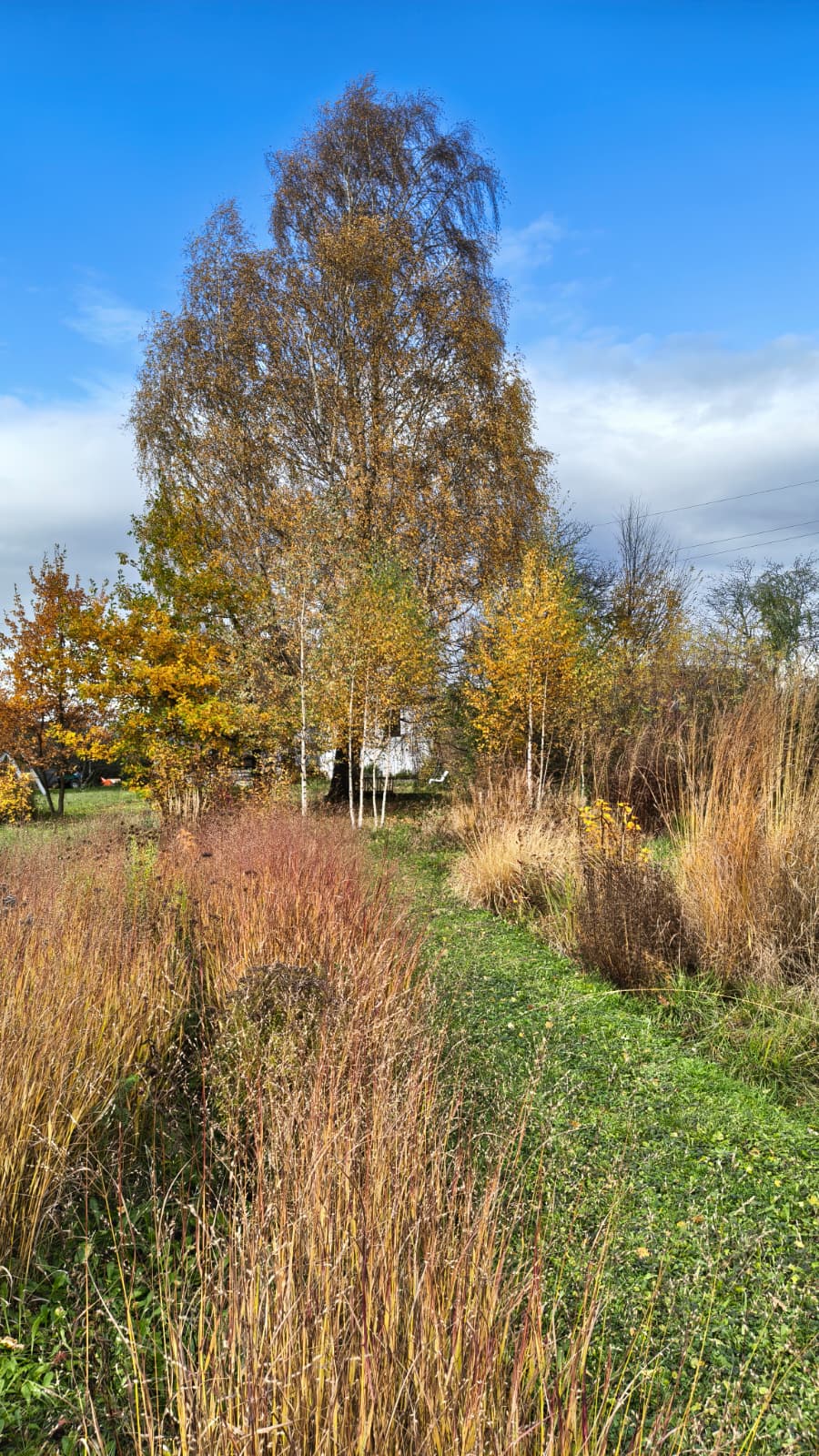 PLANTERA | Zahradní design a realizace foto 5