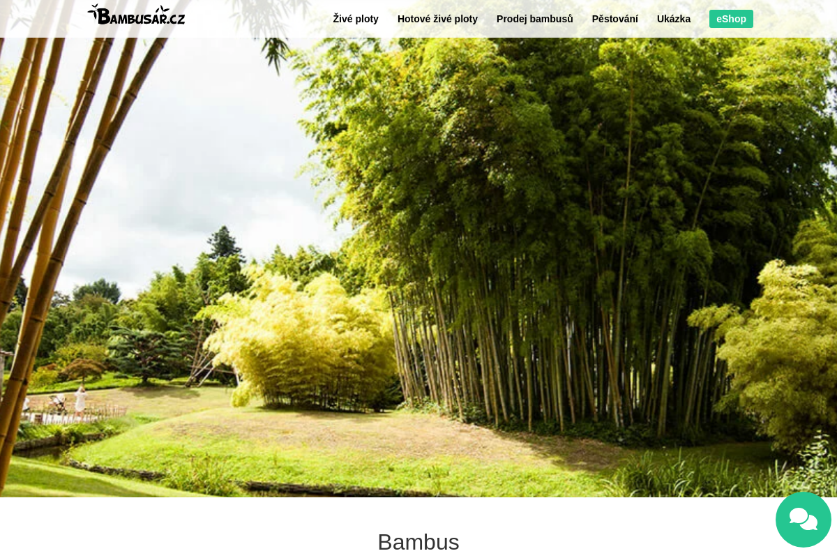 Bambusář.cz