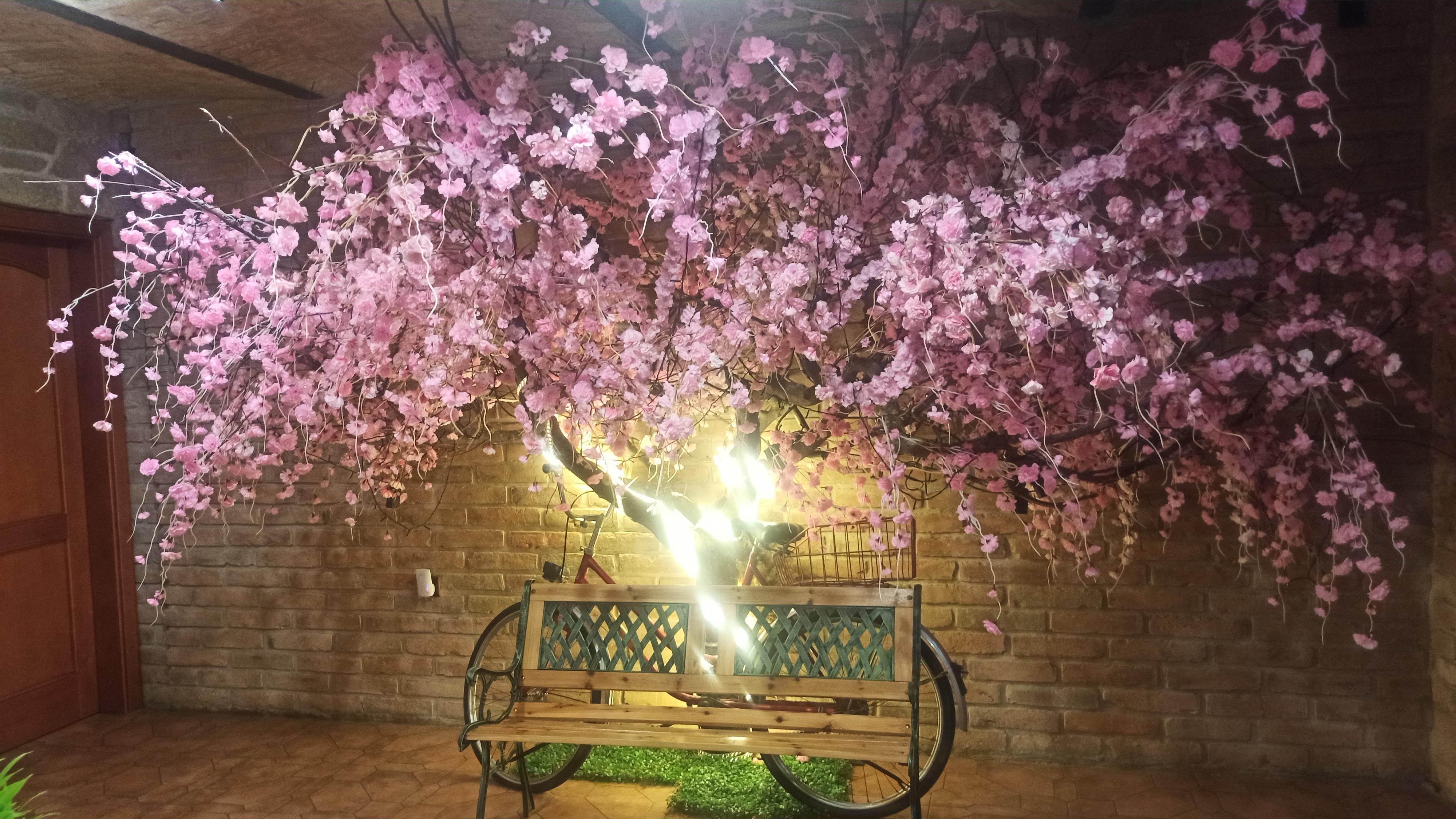 Vina House - Vietnamská restaurace foto 4