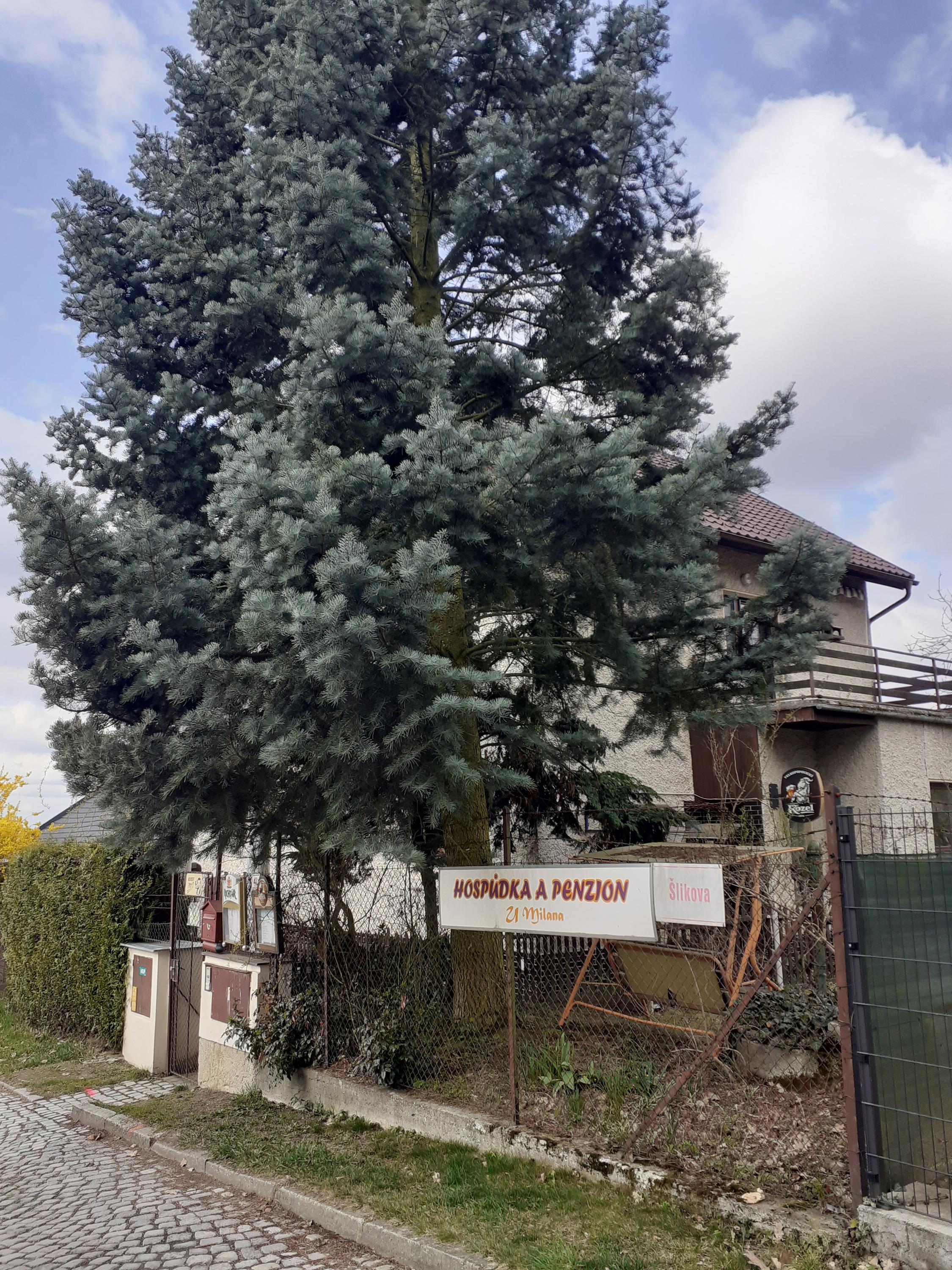Penzion U Milana foto 3
