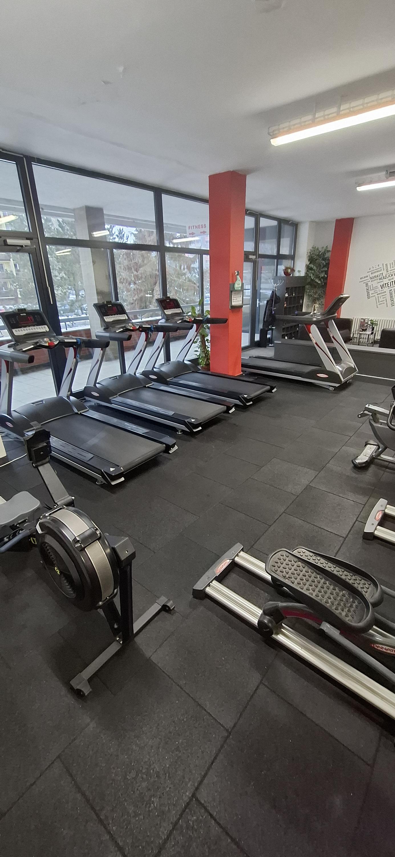 BoldGym foto 5