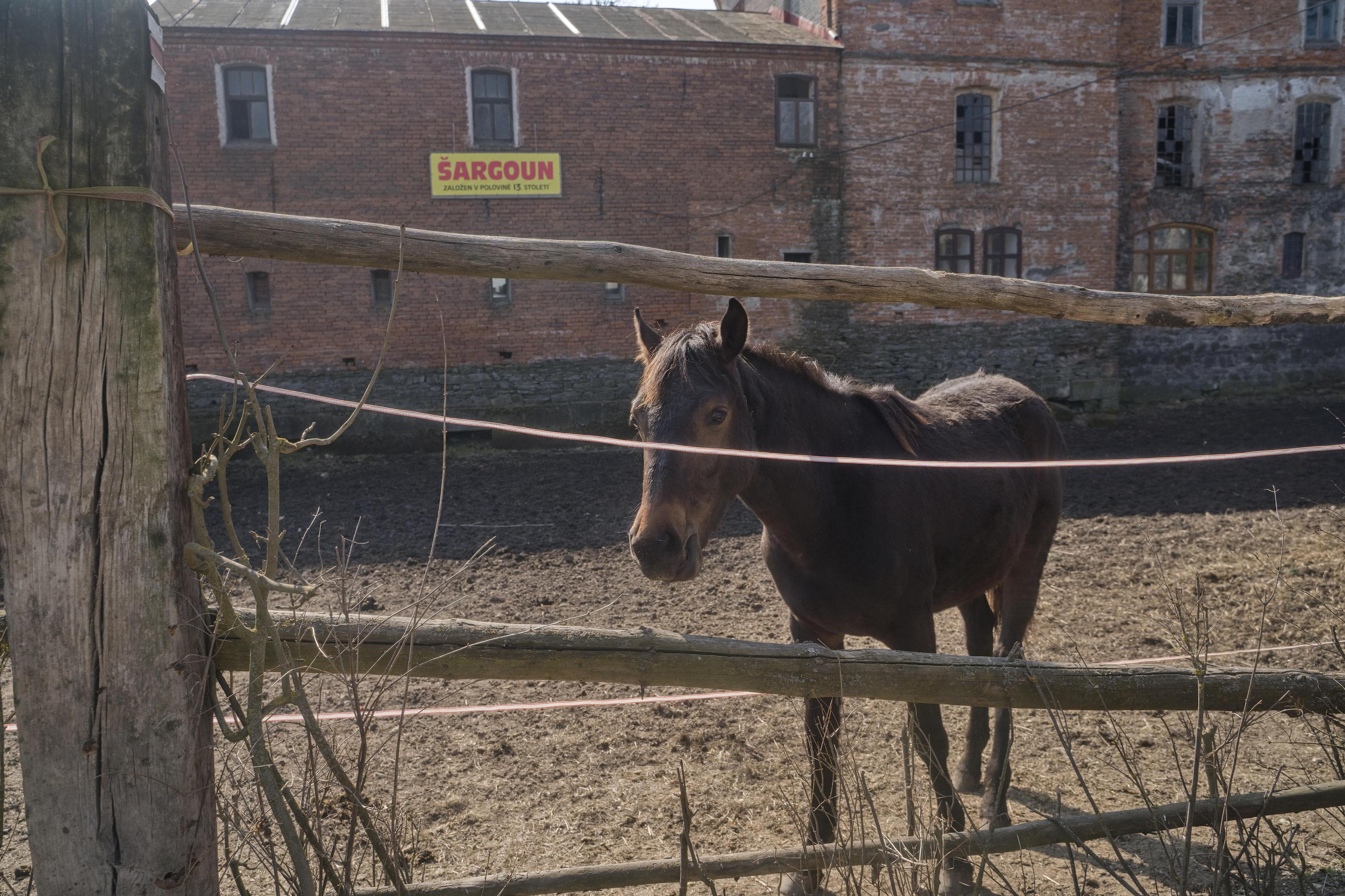 Občerstvení u Šargounu foto 6