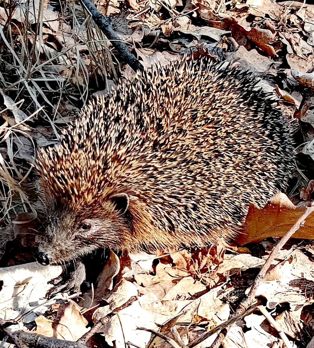 Doubravský Dvůr - Sýpka foto 6