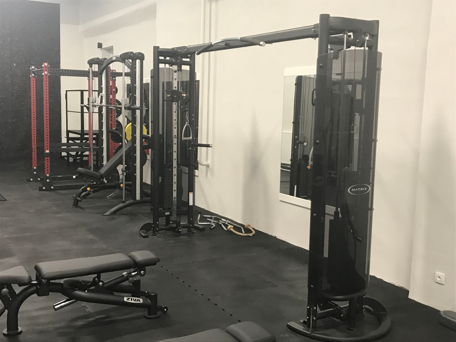 Bastard´s Gym foto 5
